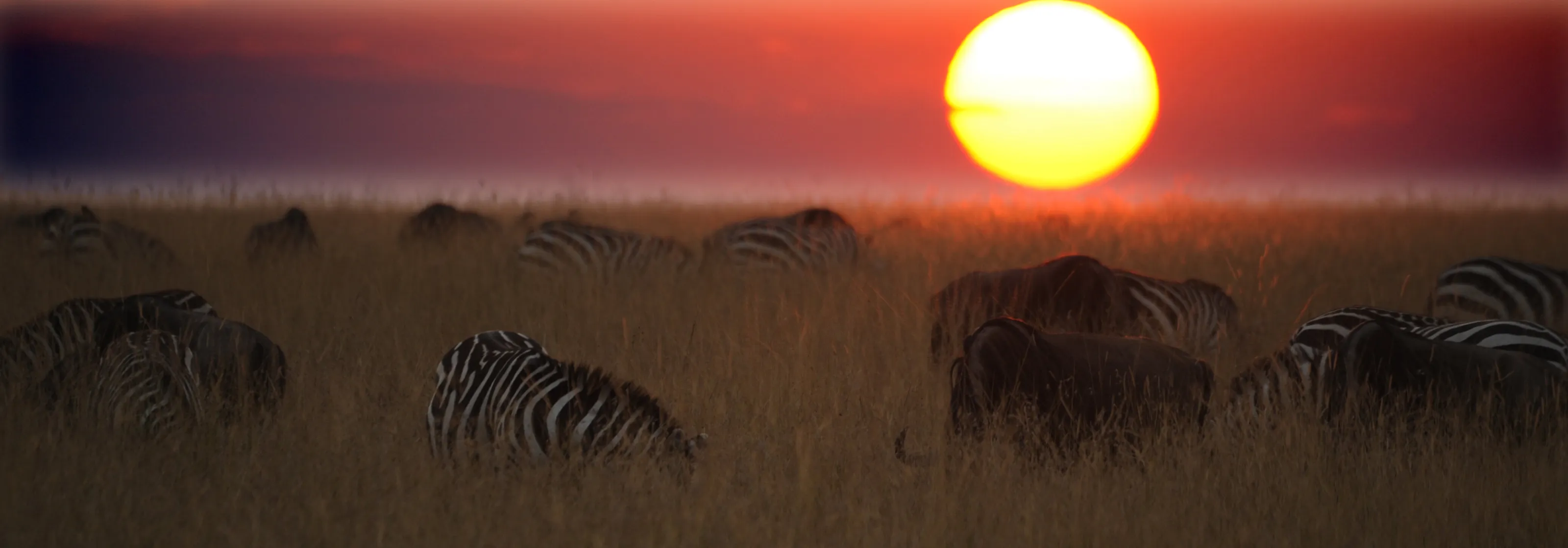 Sunset on the Mara.