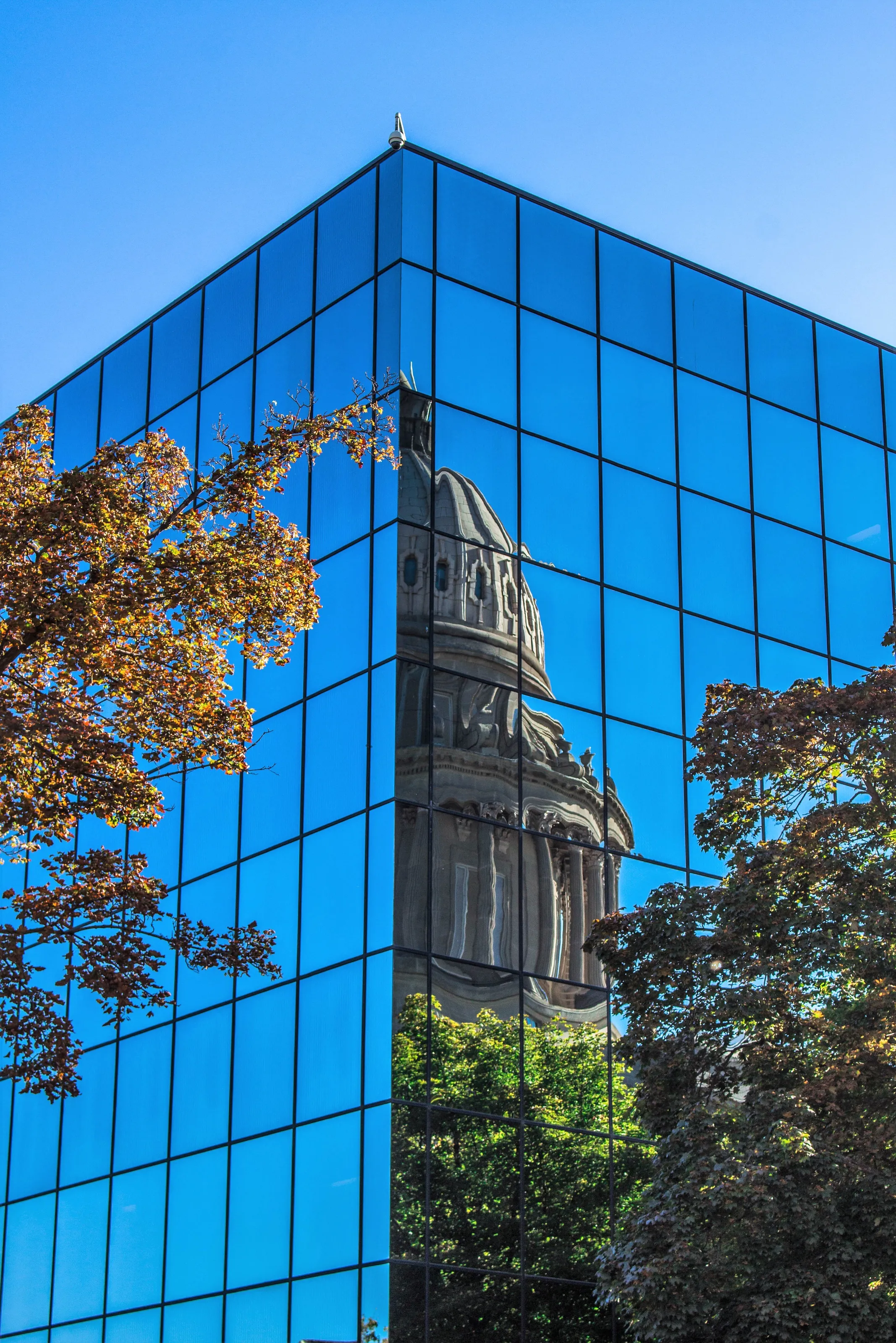 Capitol Reflection