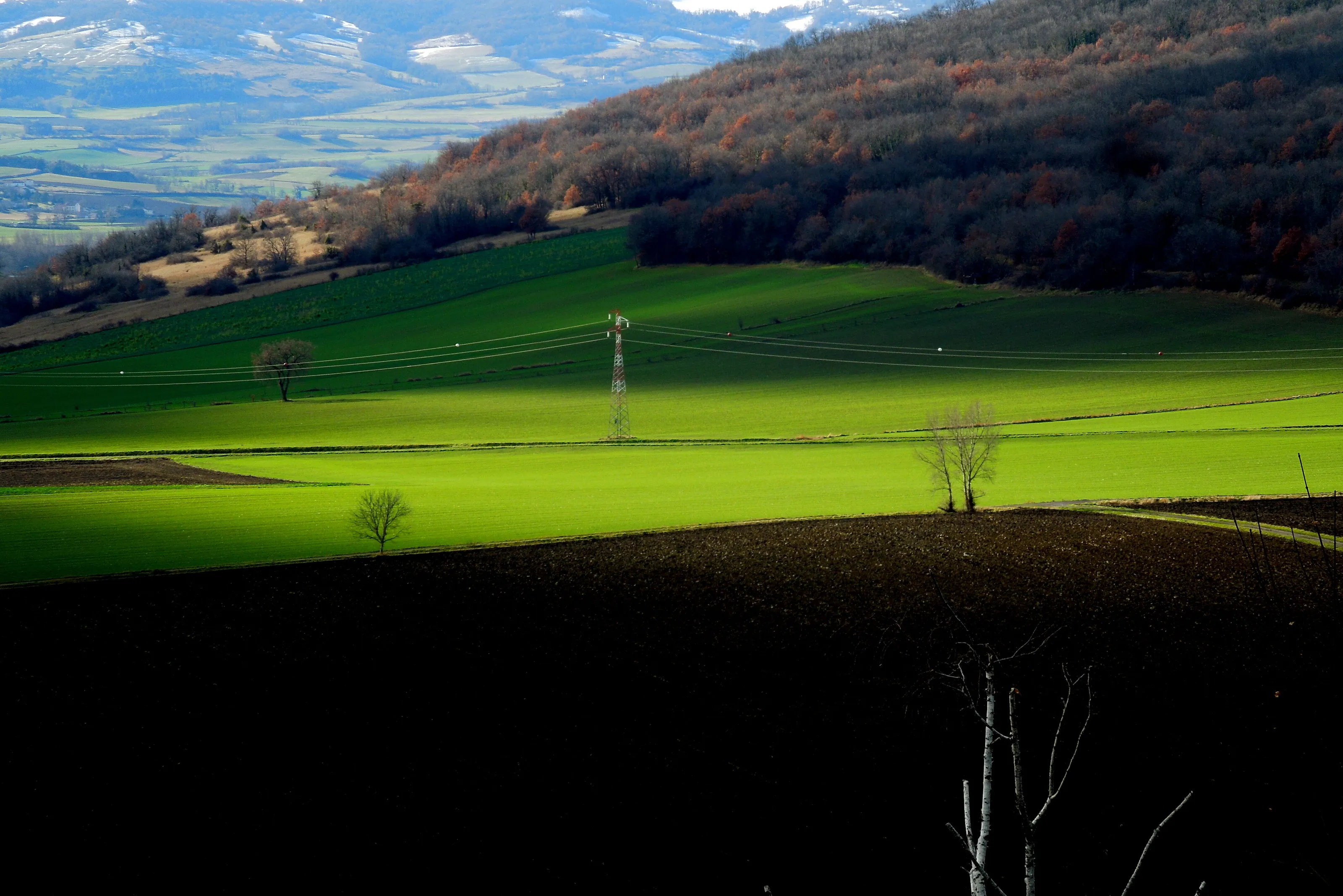 Paysage rural