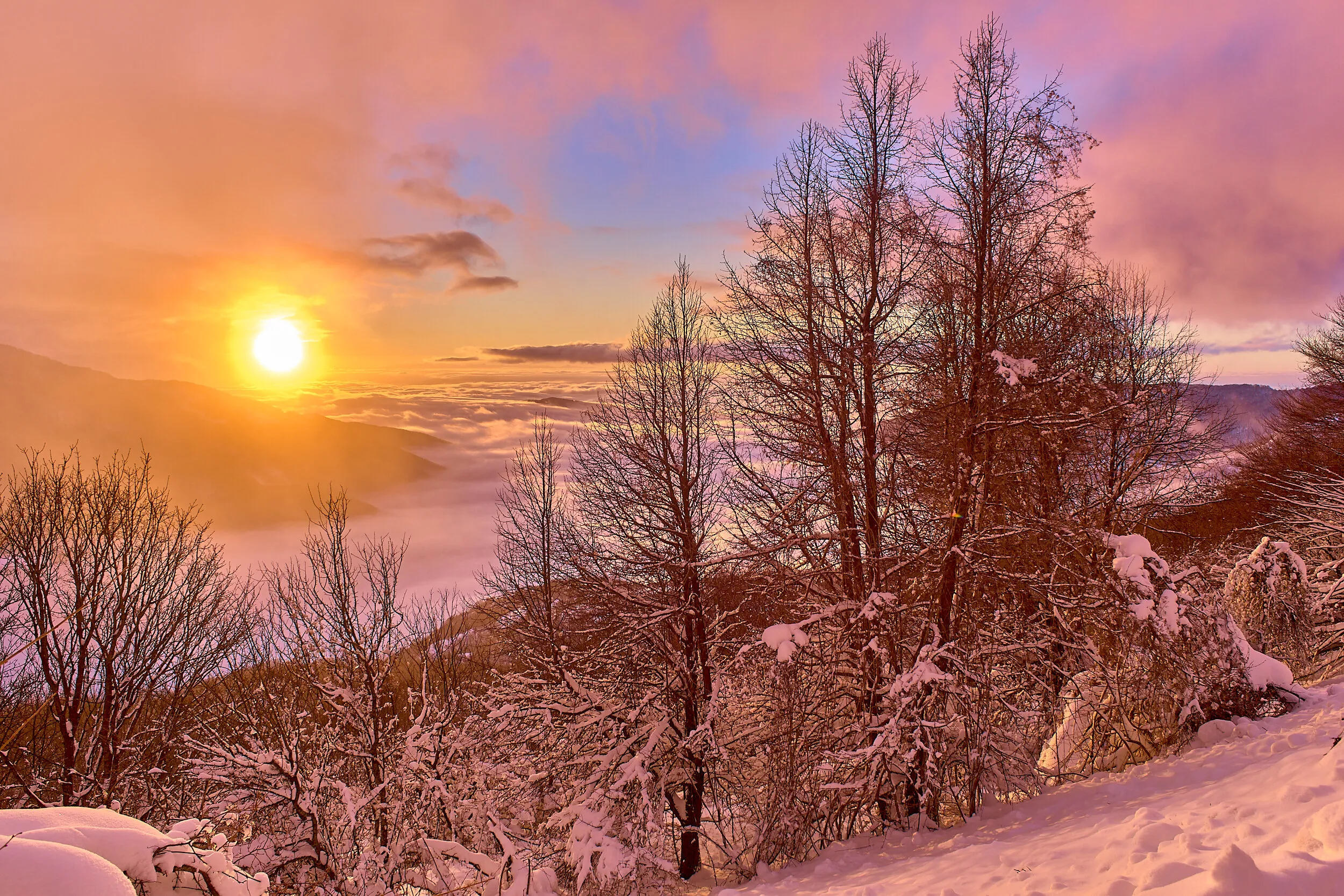 Snow