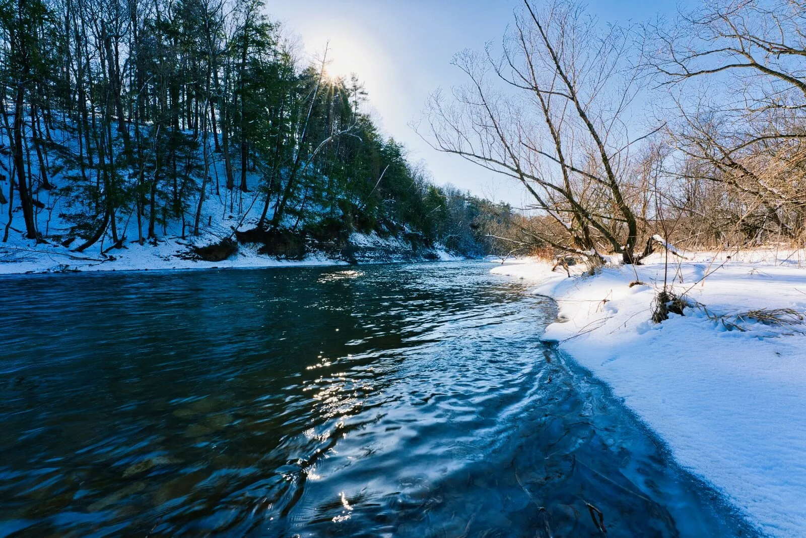 Sunny Snowscape