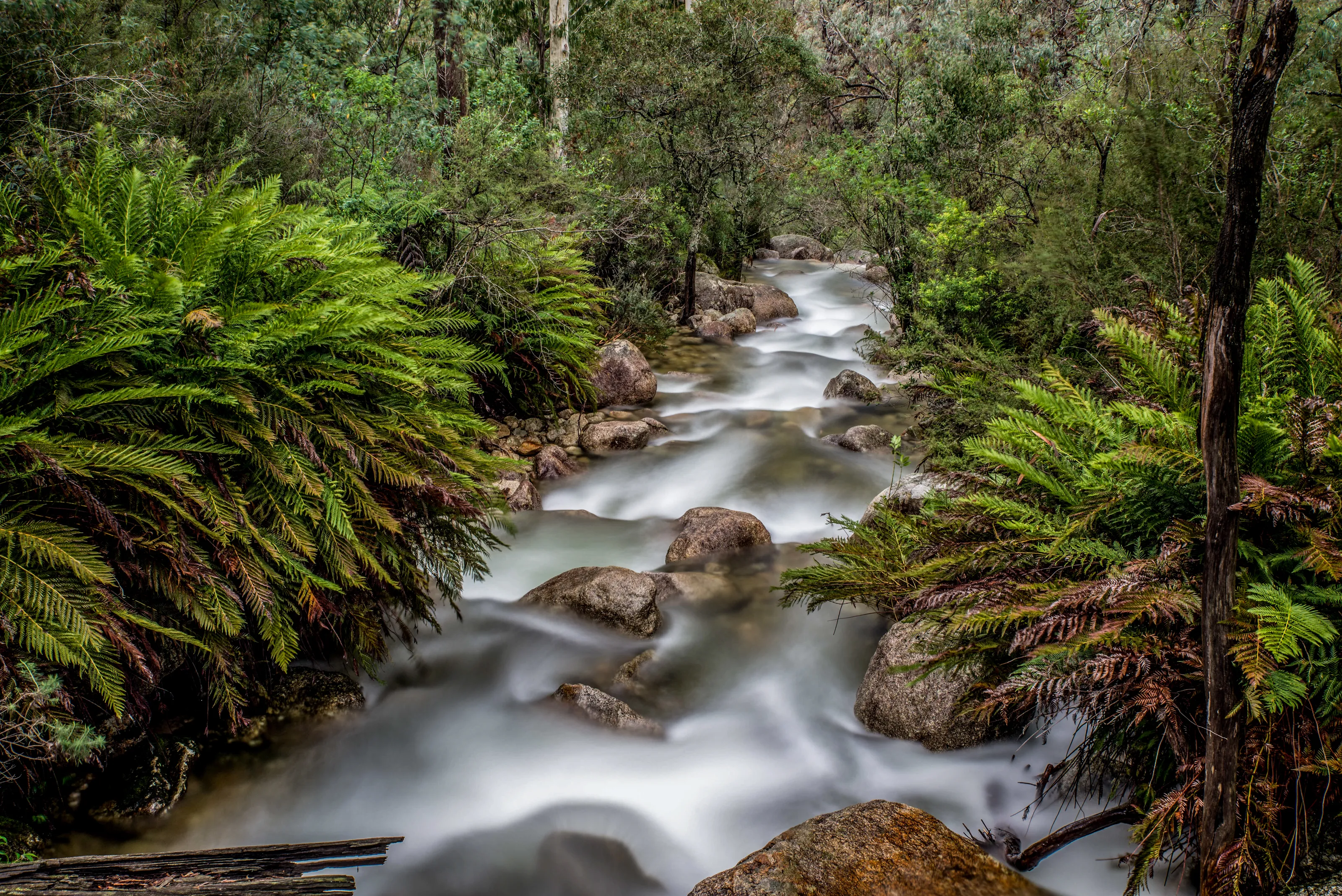 outflow from lady bath falls.