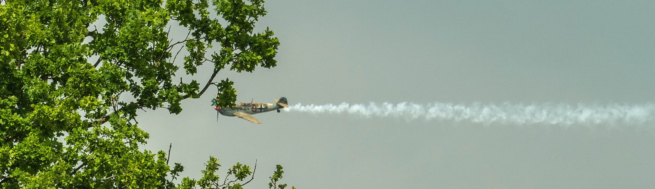 Entry 837162