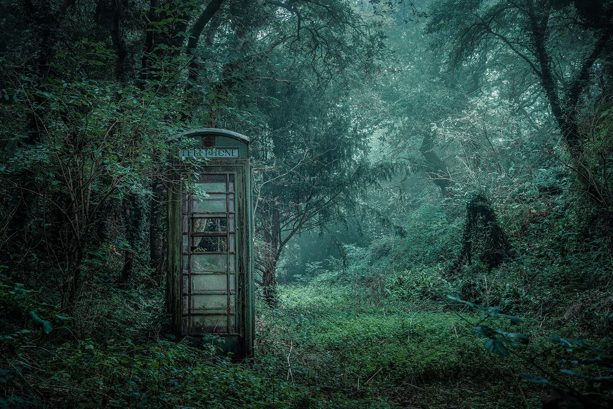 Entry 20342254