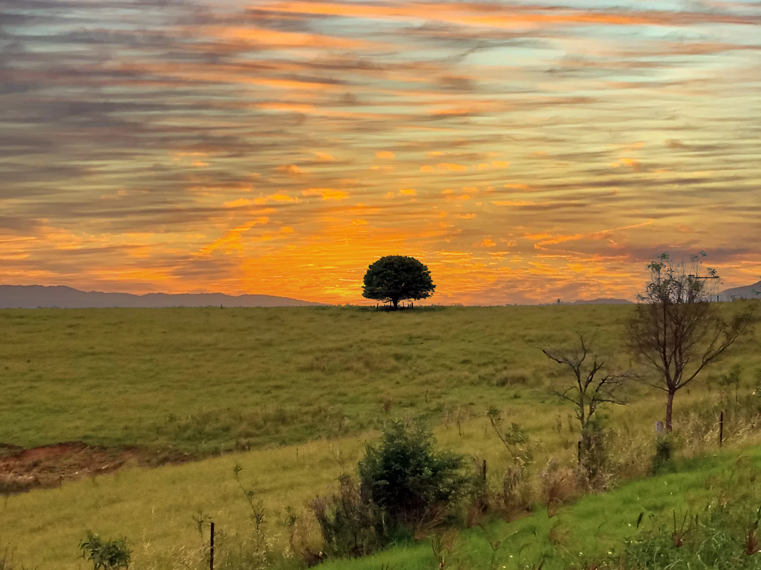 Razorback Sunset