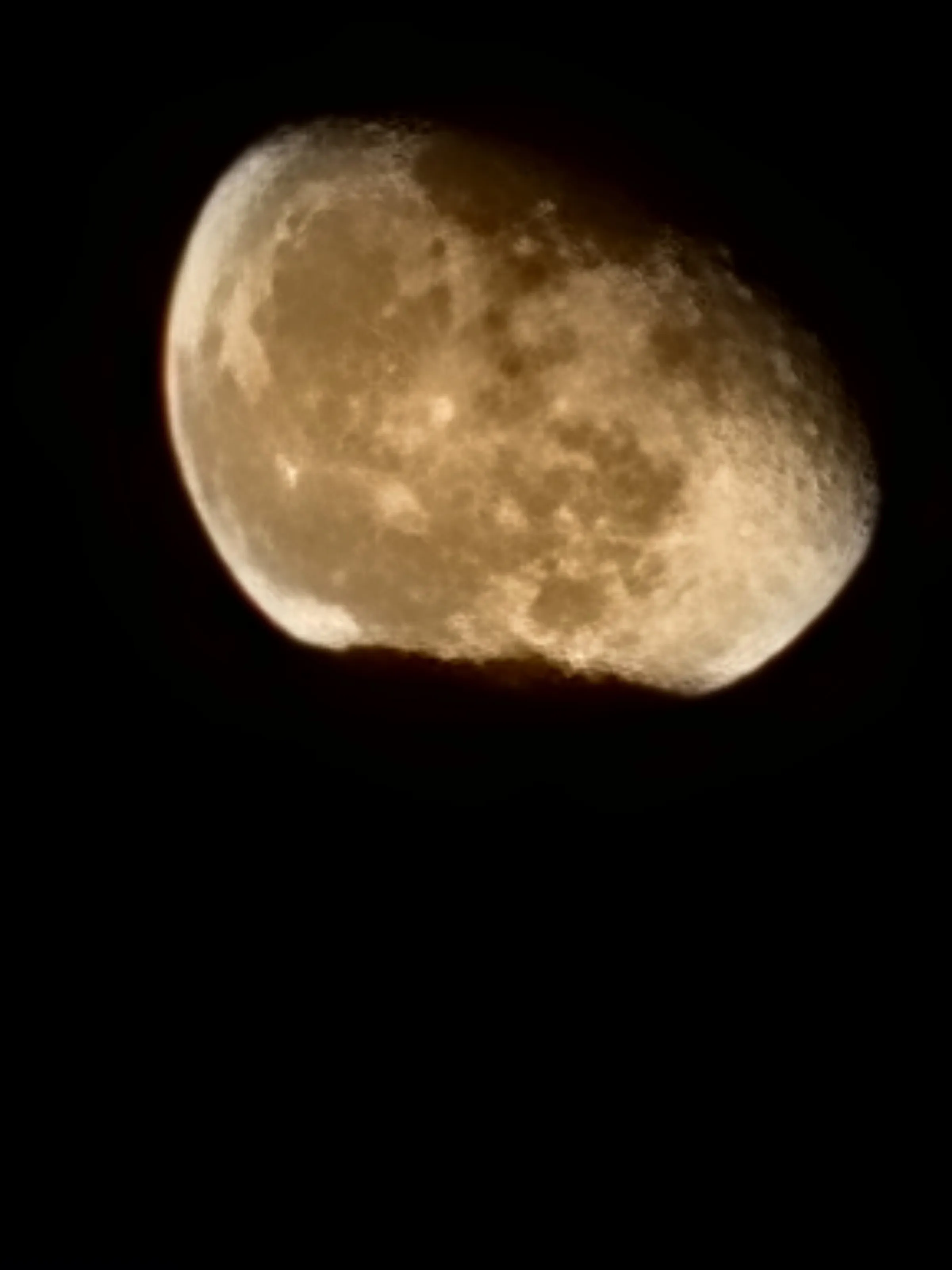 Last Winter Moon