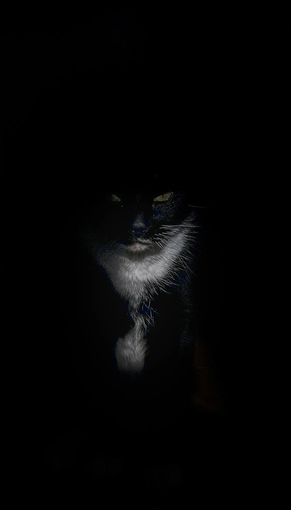 Lurking in the shadows