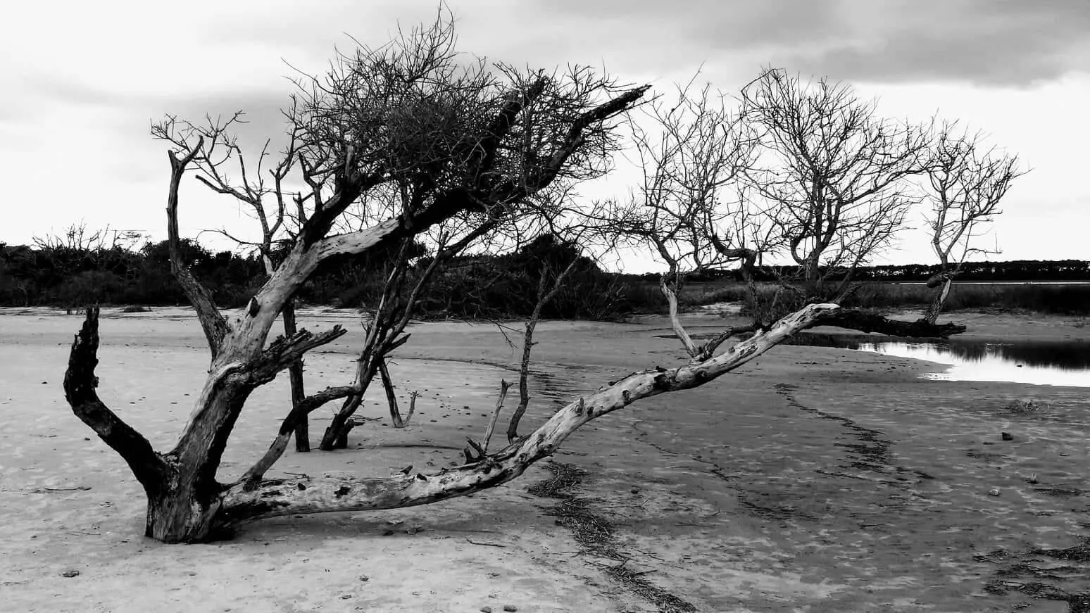 Folly Drift