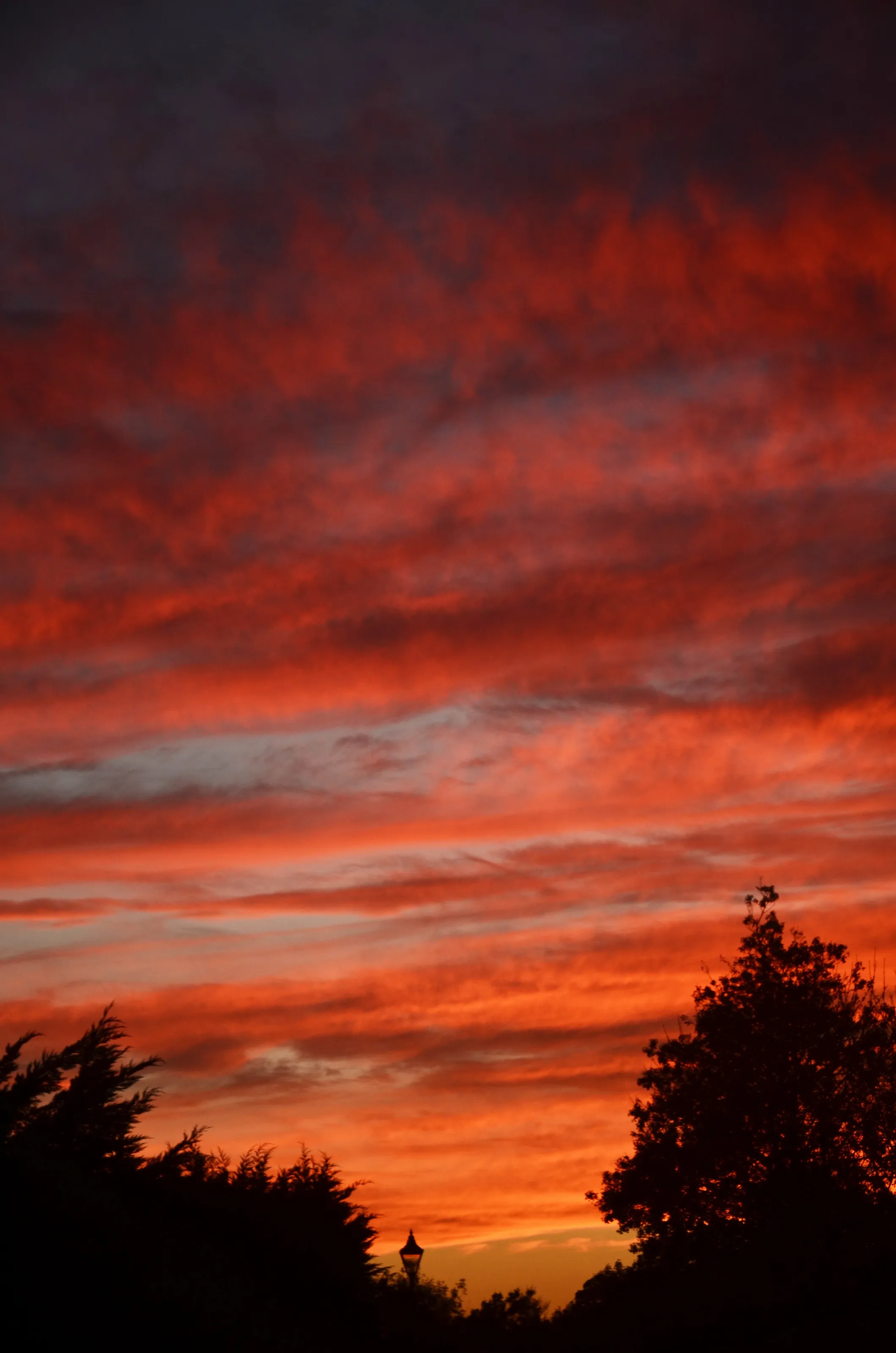 A Beautiful Sunset
