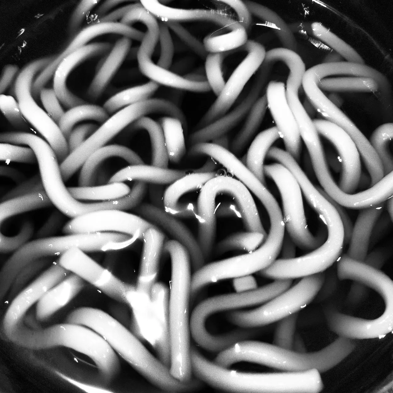 Okinawan Udon