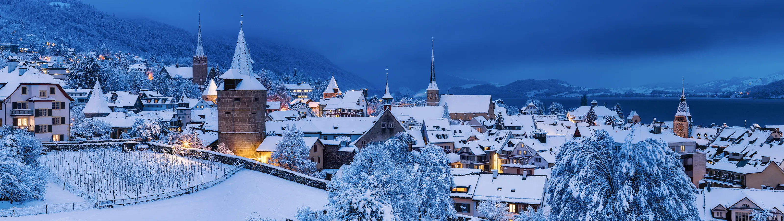Snow-covered rooftops - Panorama