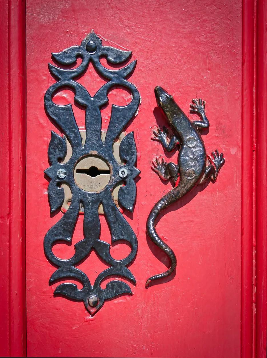 Entry 21253548