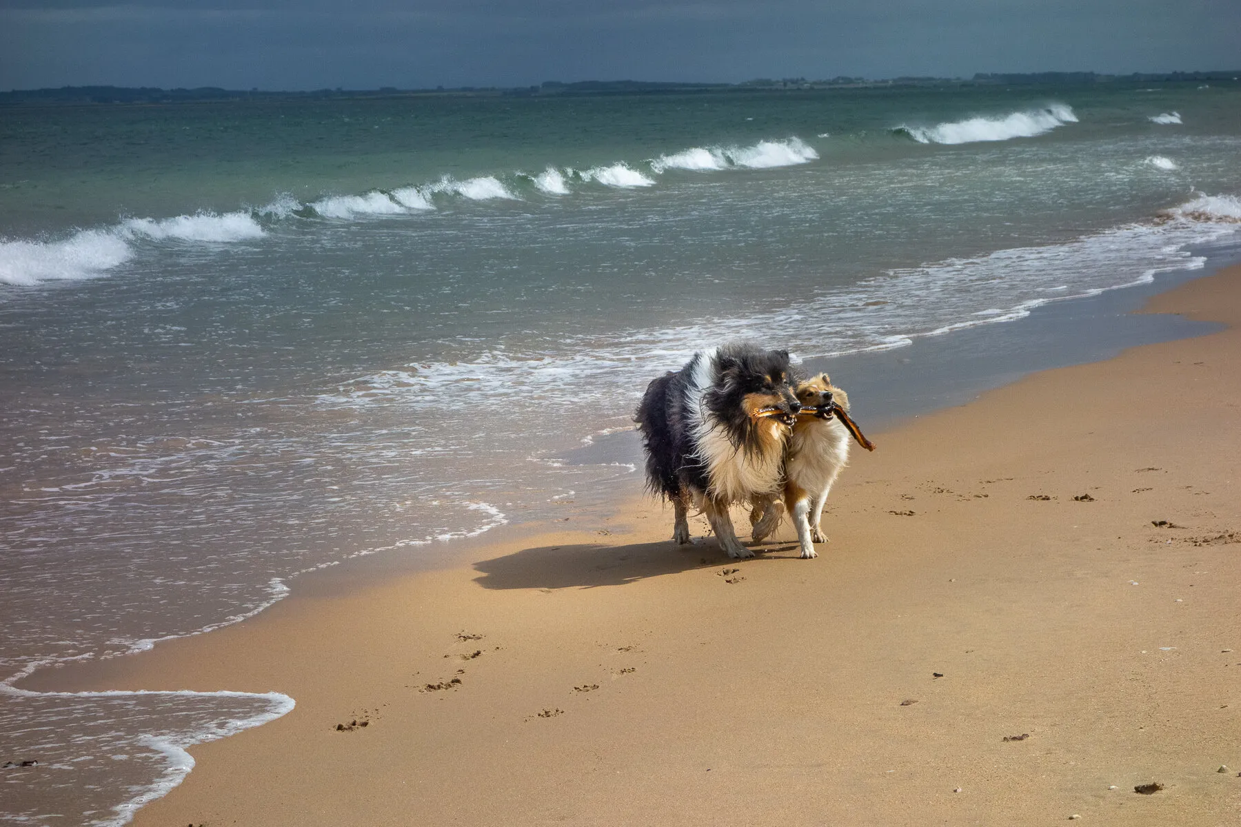 Life’s a beach….