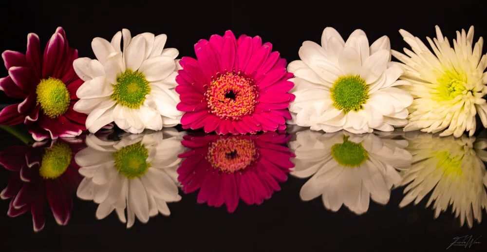 Reflection