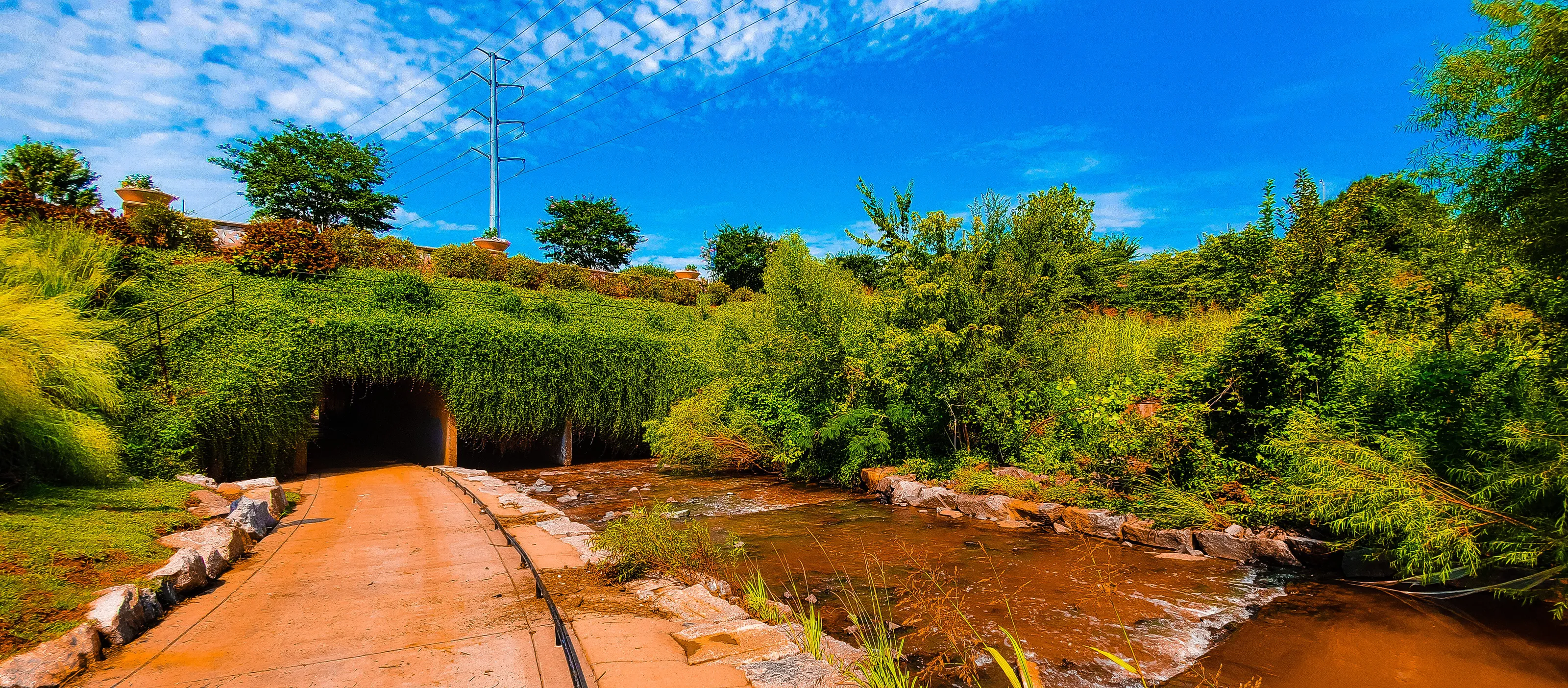Urban Greenway