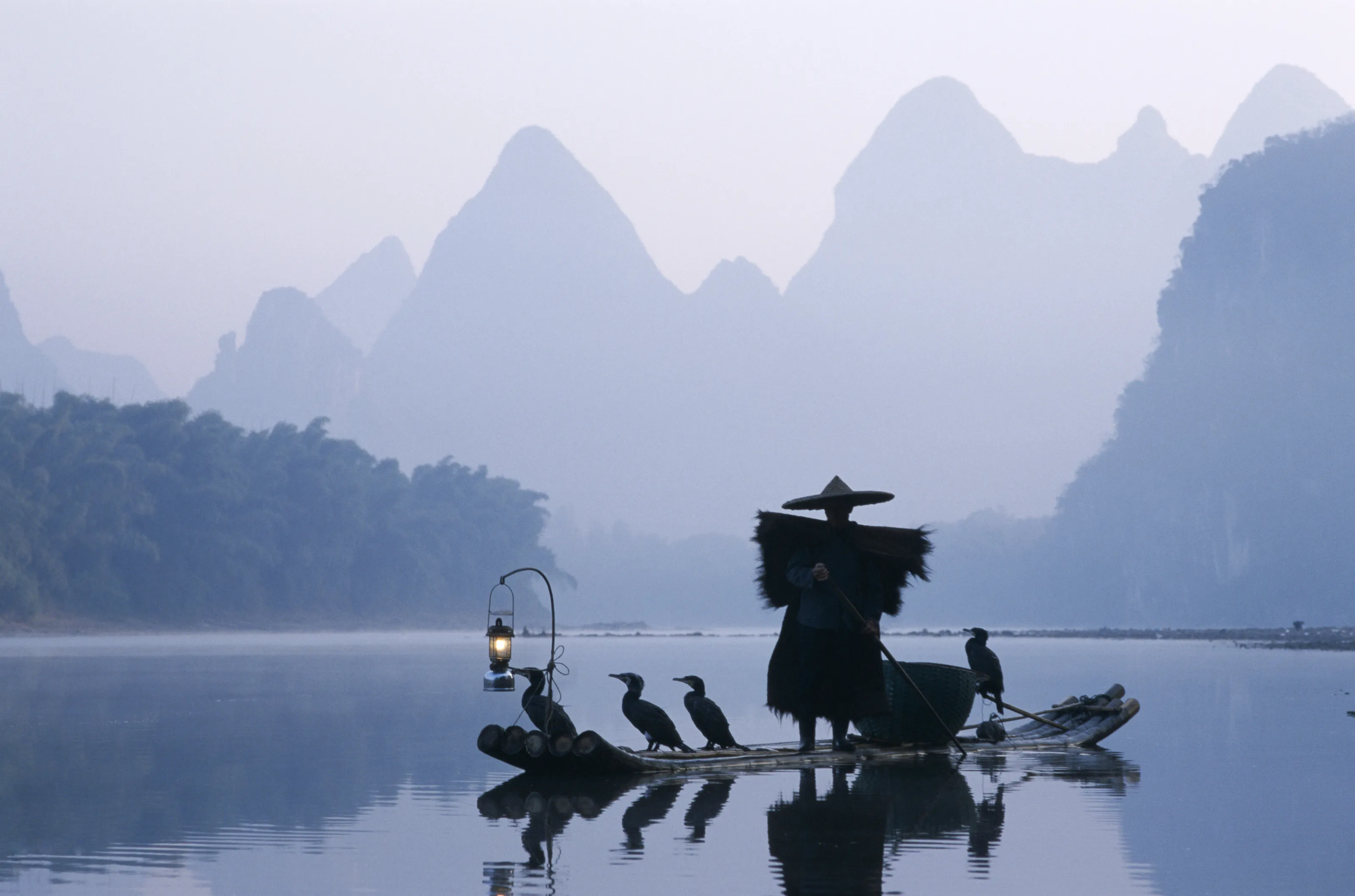 cormorant fisherman