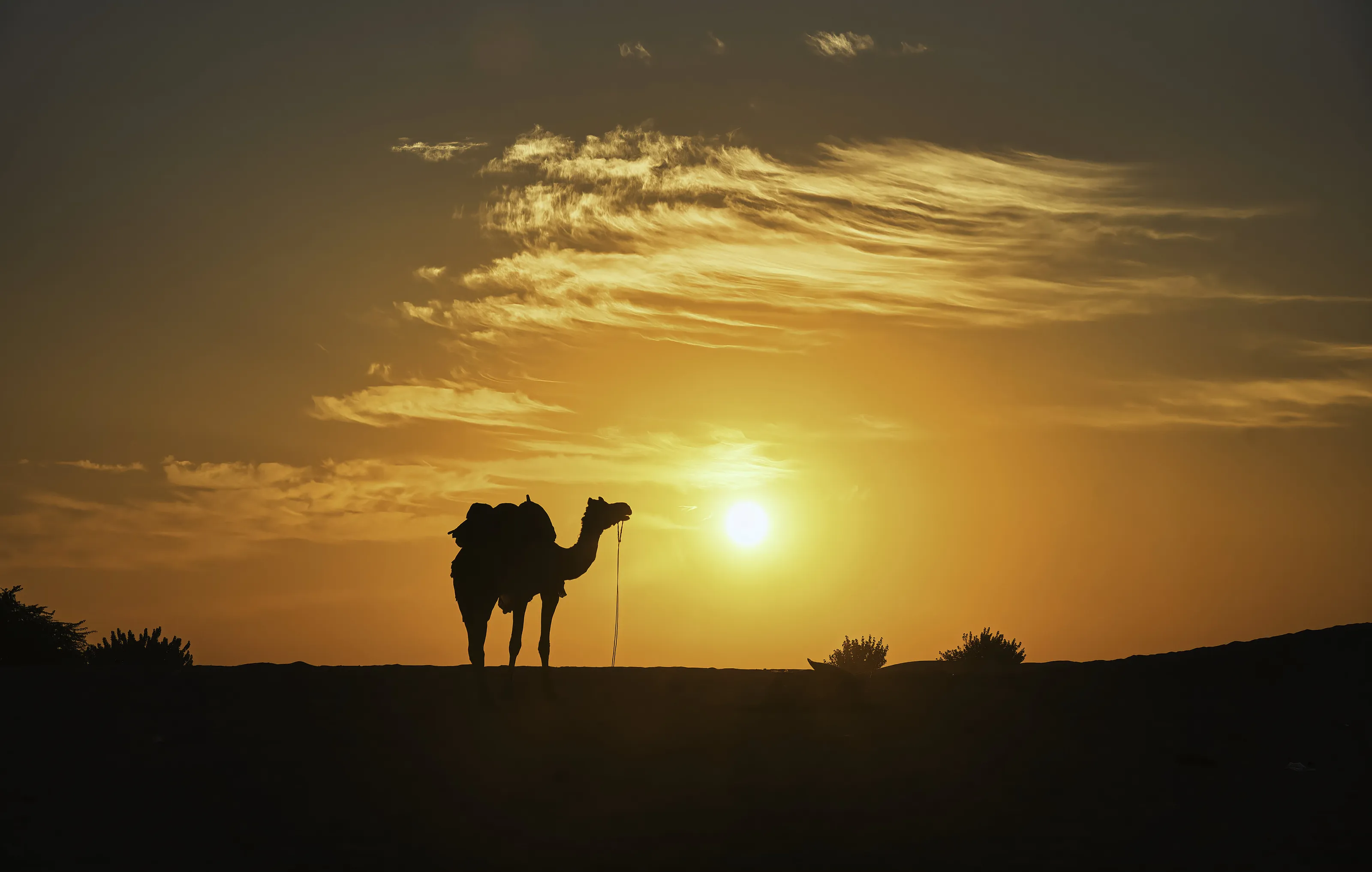 At sunset