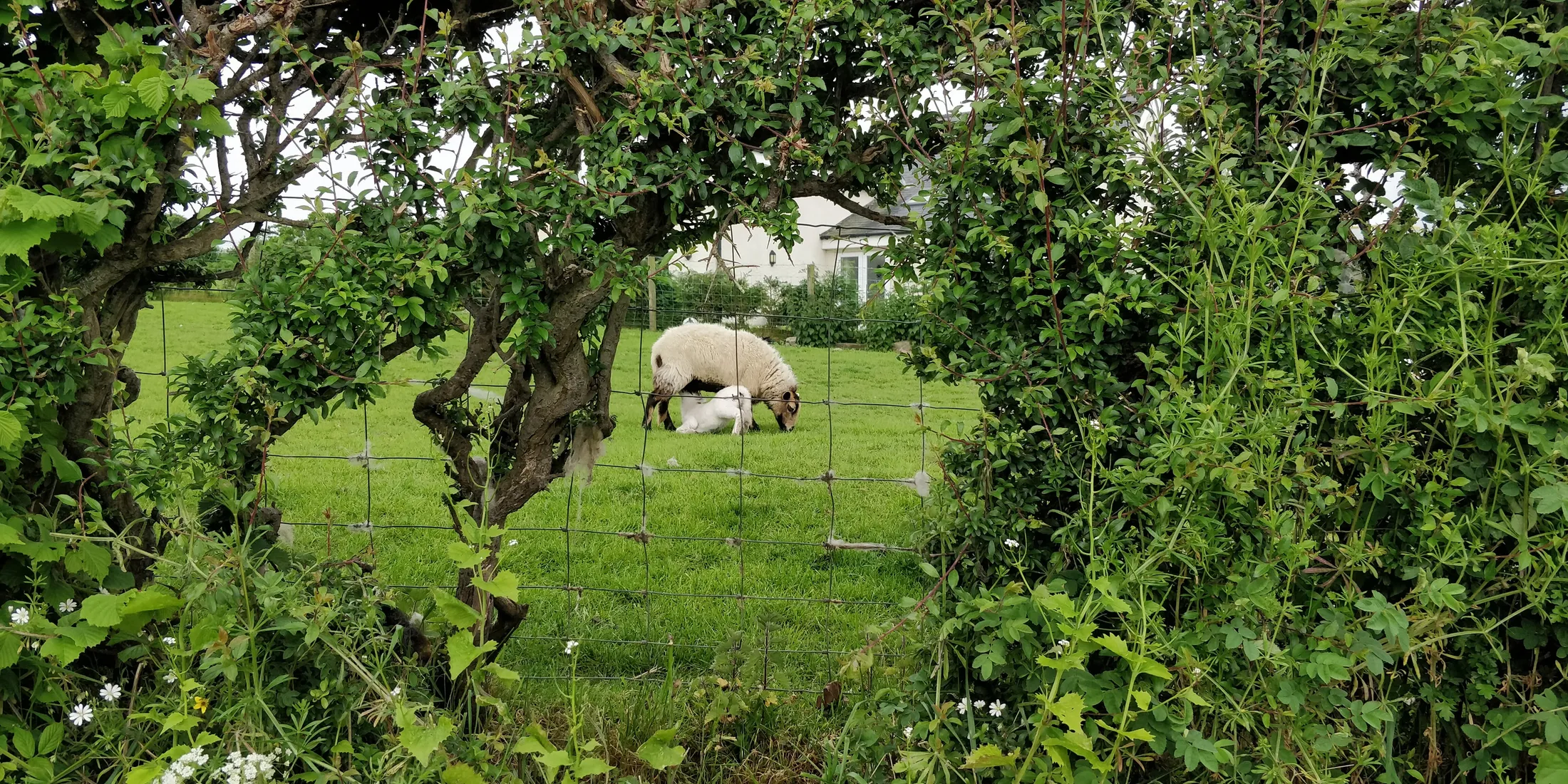 Entry 15946828