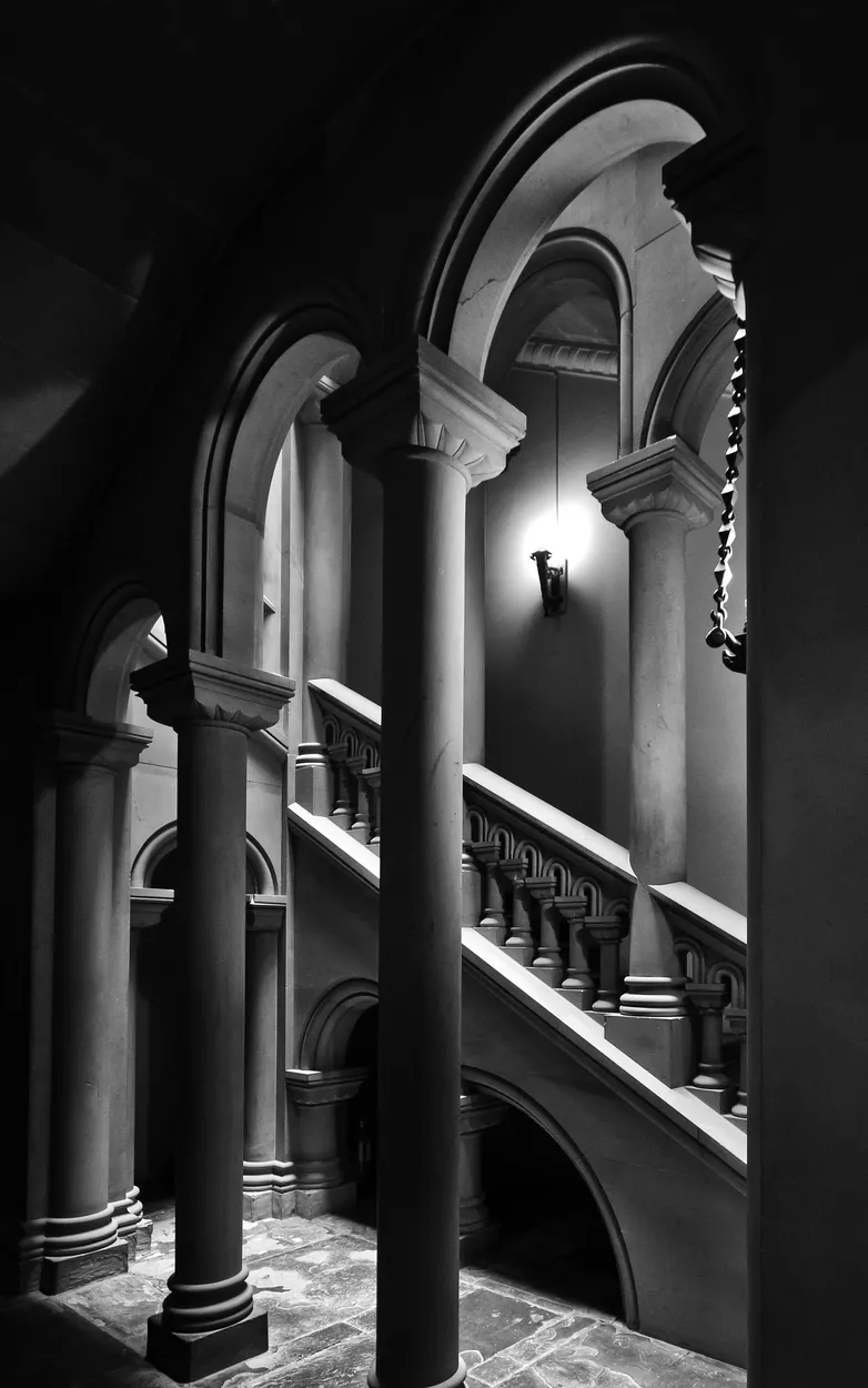 Entry 19342410