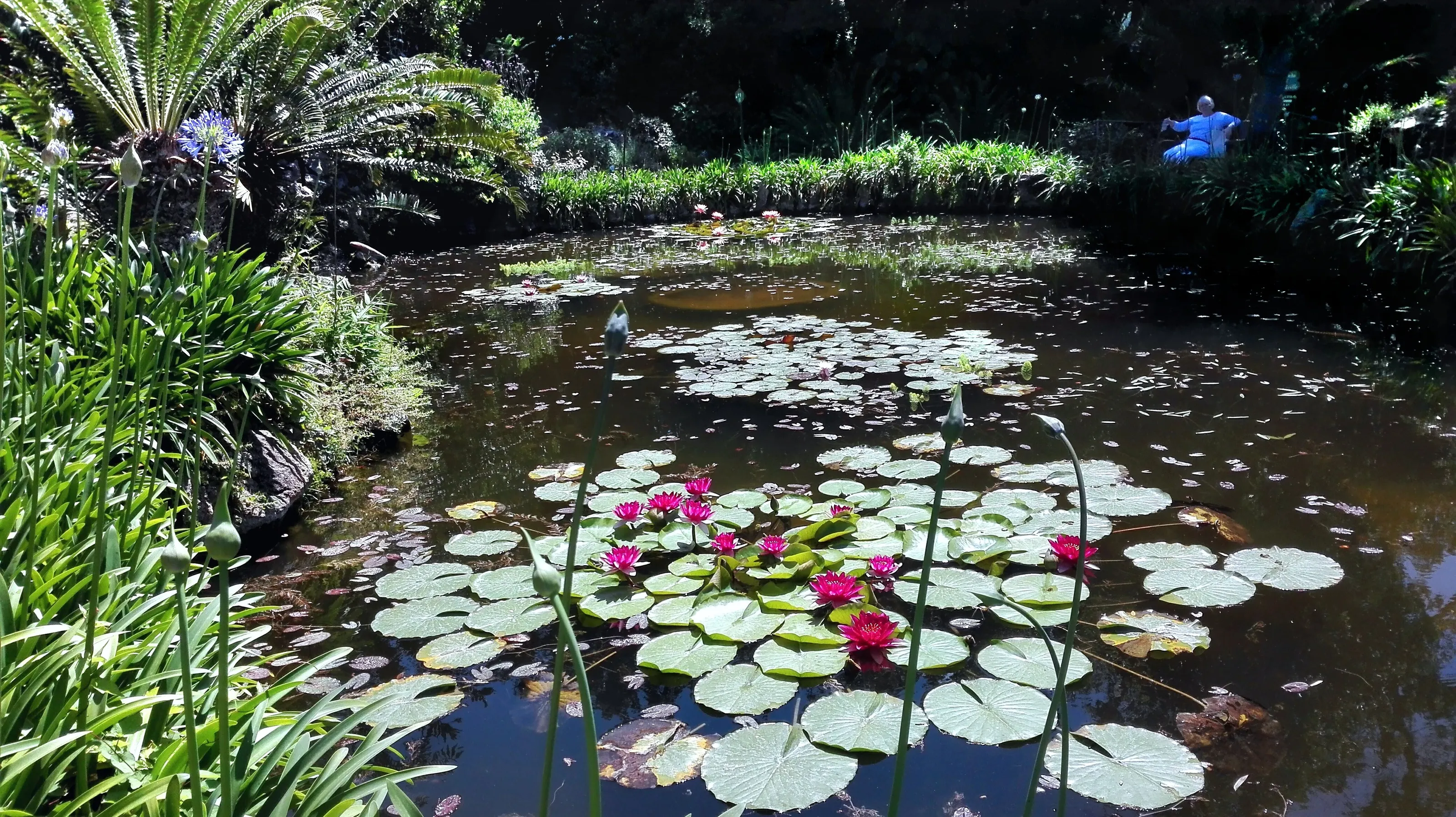 Giardini La MortellaI