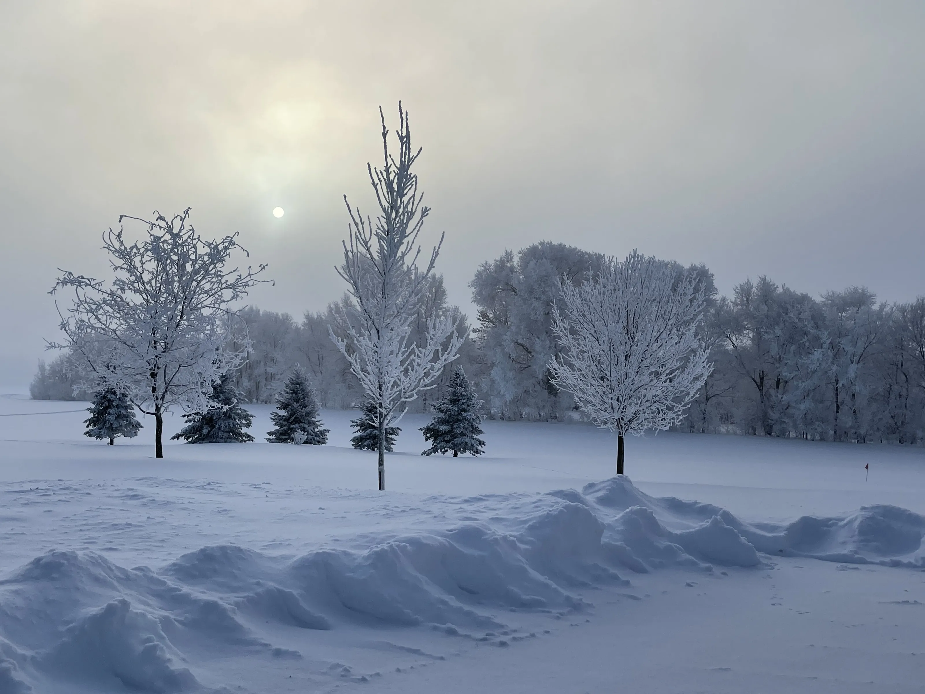 Winter Magic