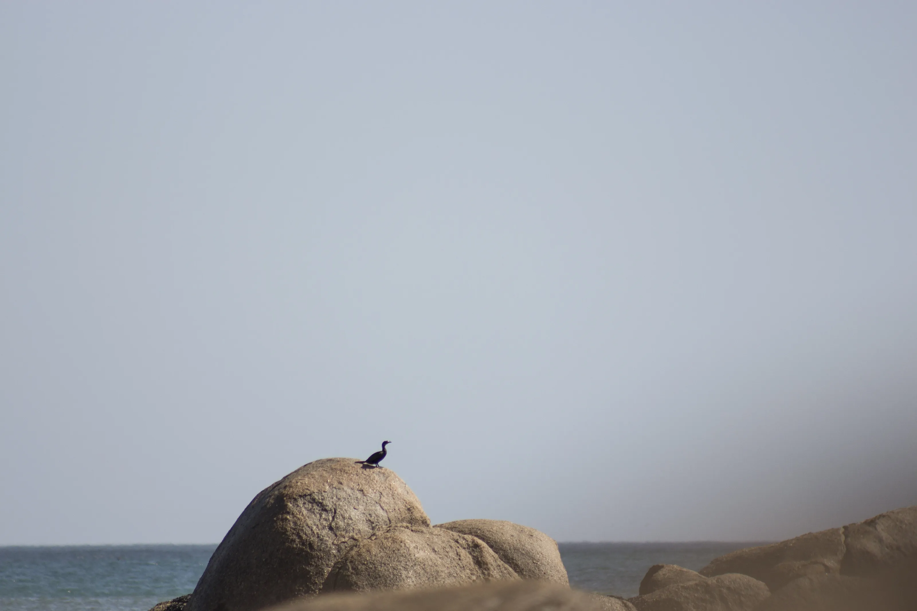 Alone at Sea