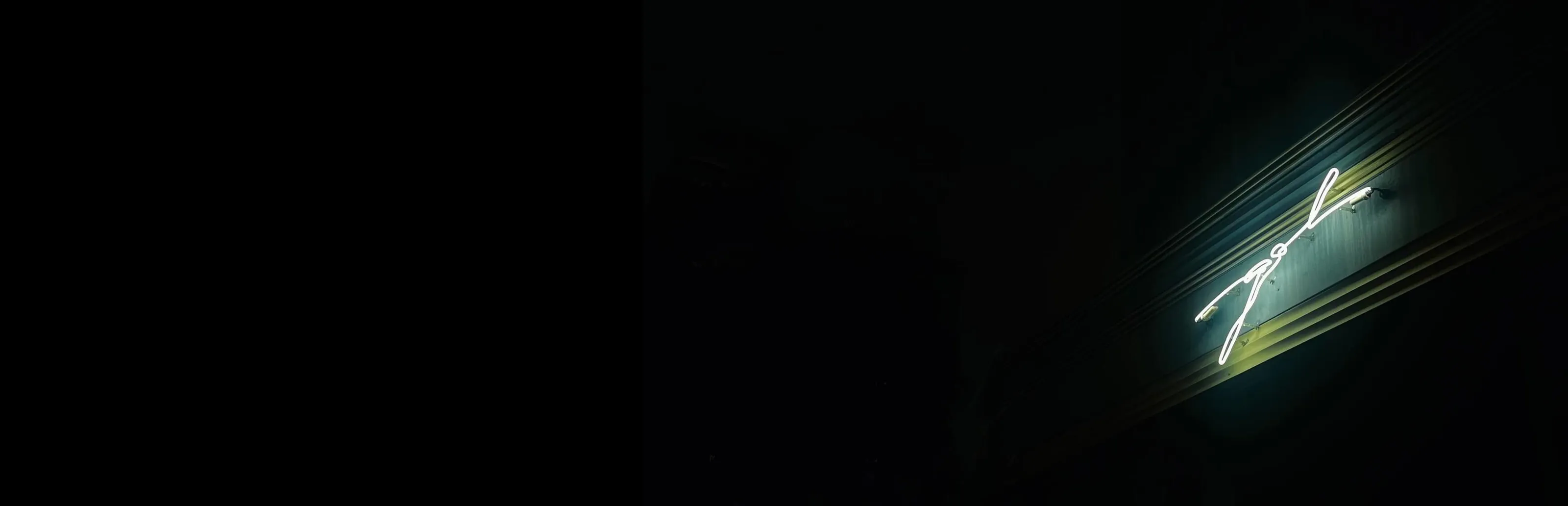 Banner image