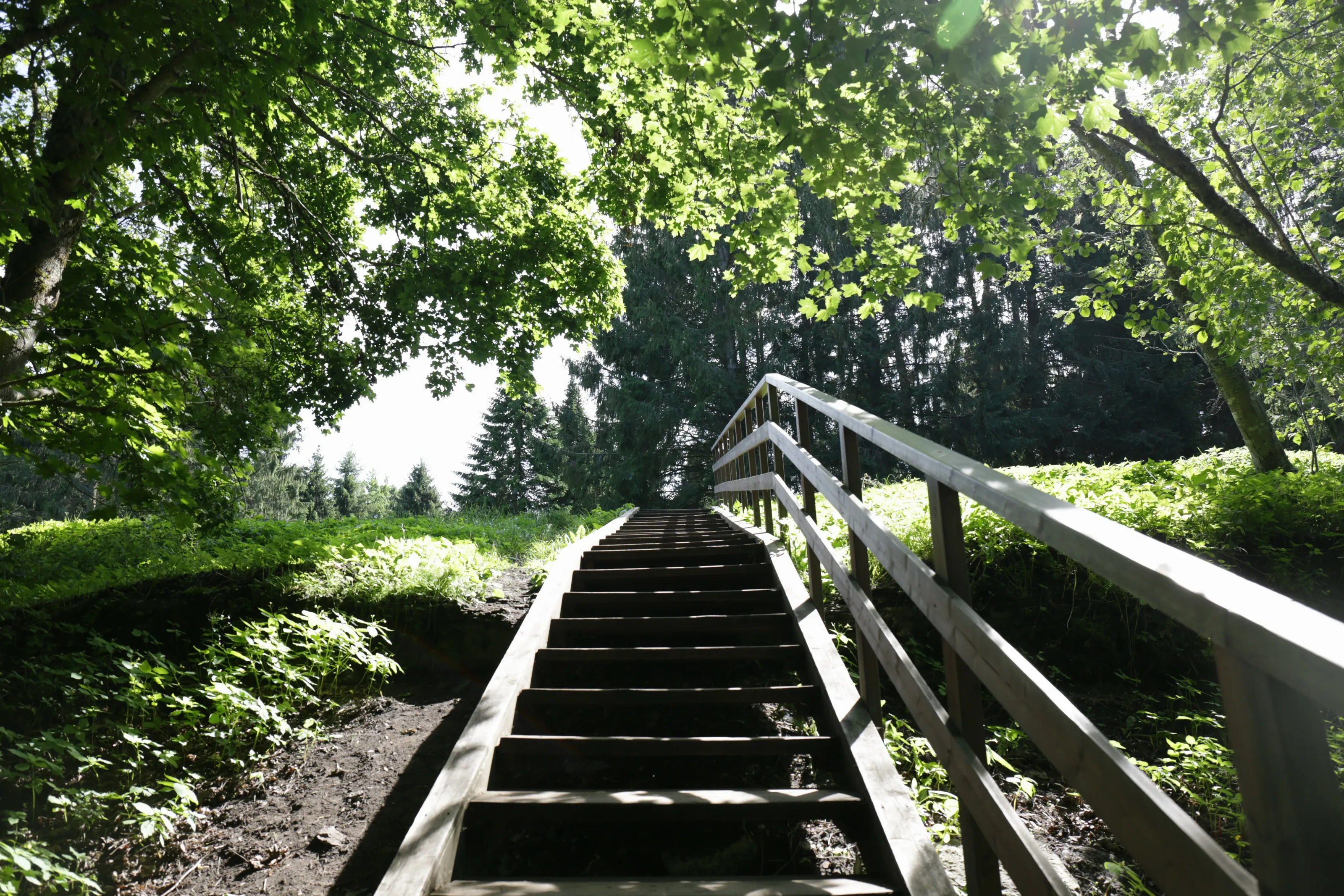 Estonian nature