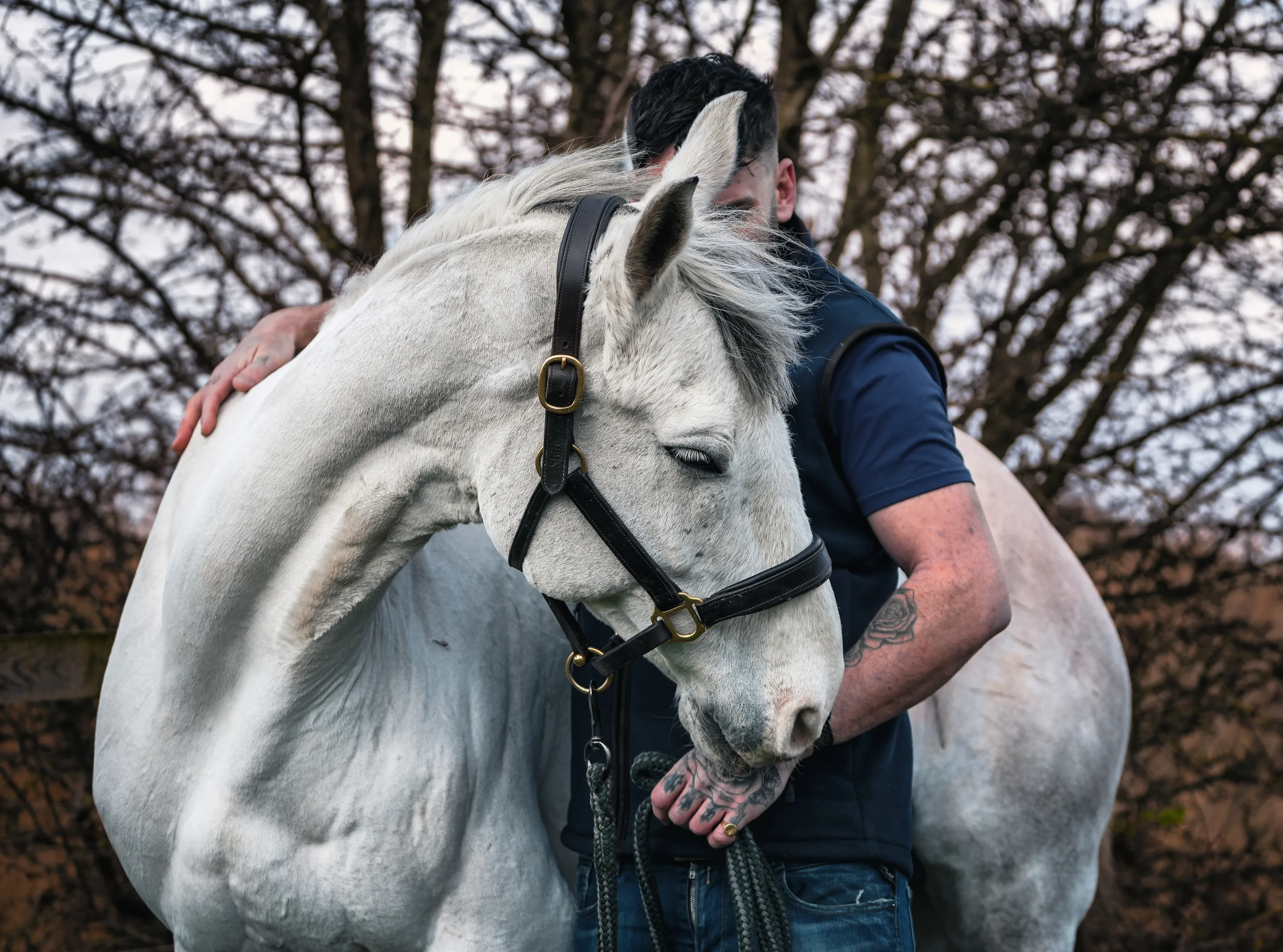 If you have gained the trust of a horse, you have gained a friend for life