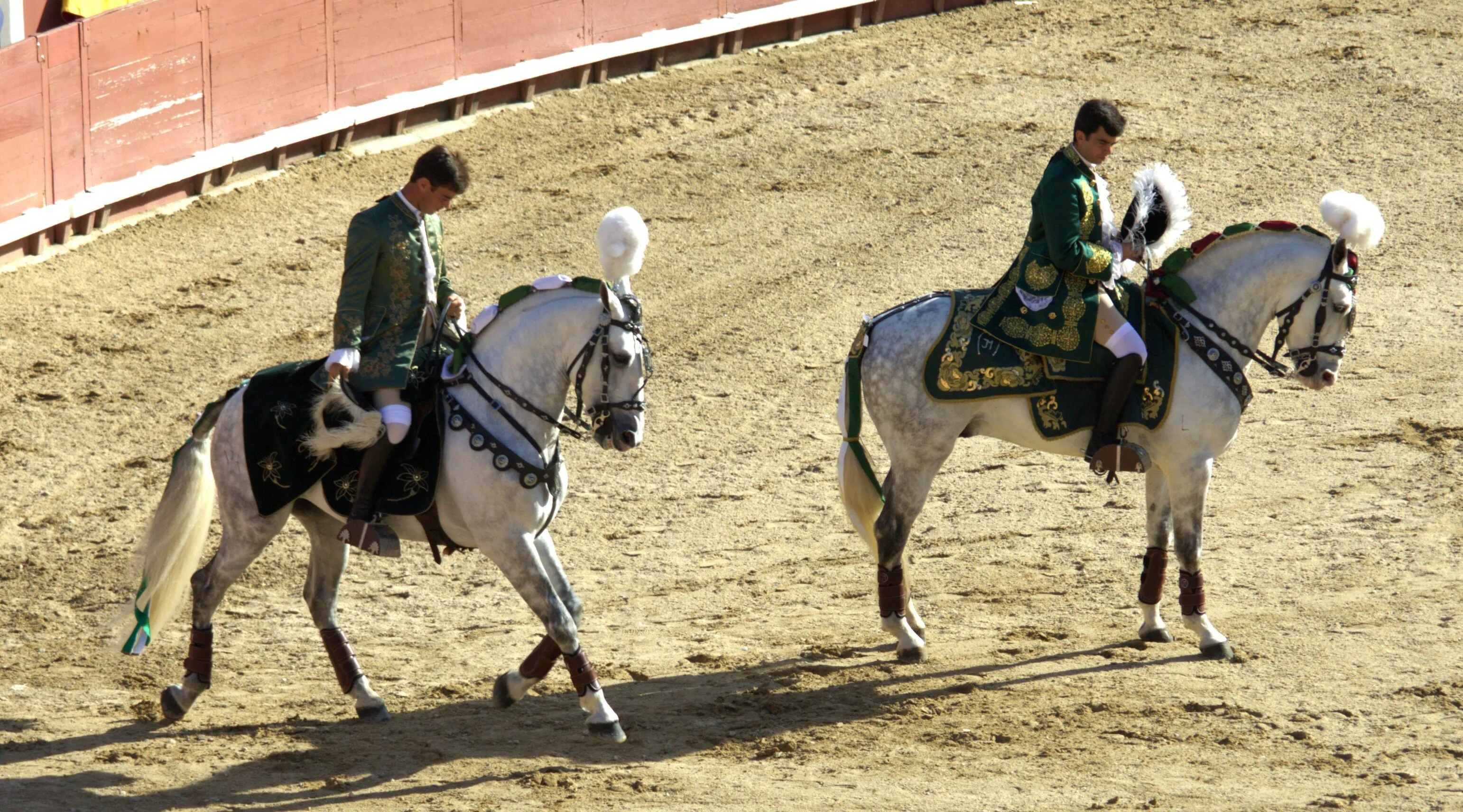 horse and rider friendship