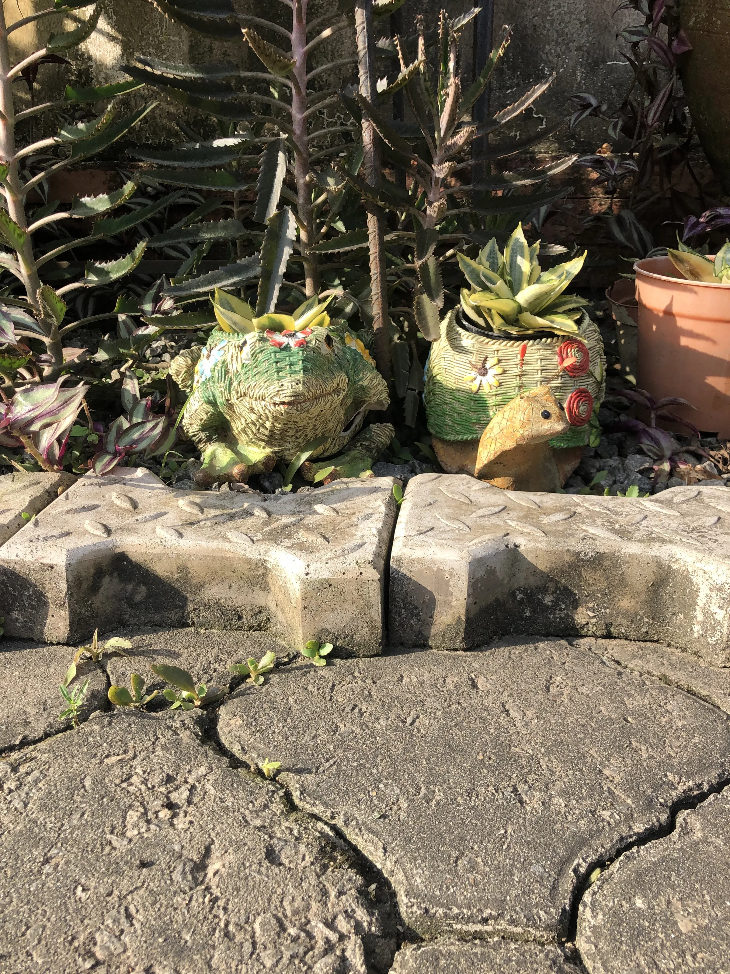 garden friends