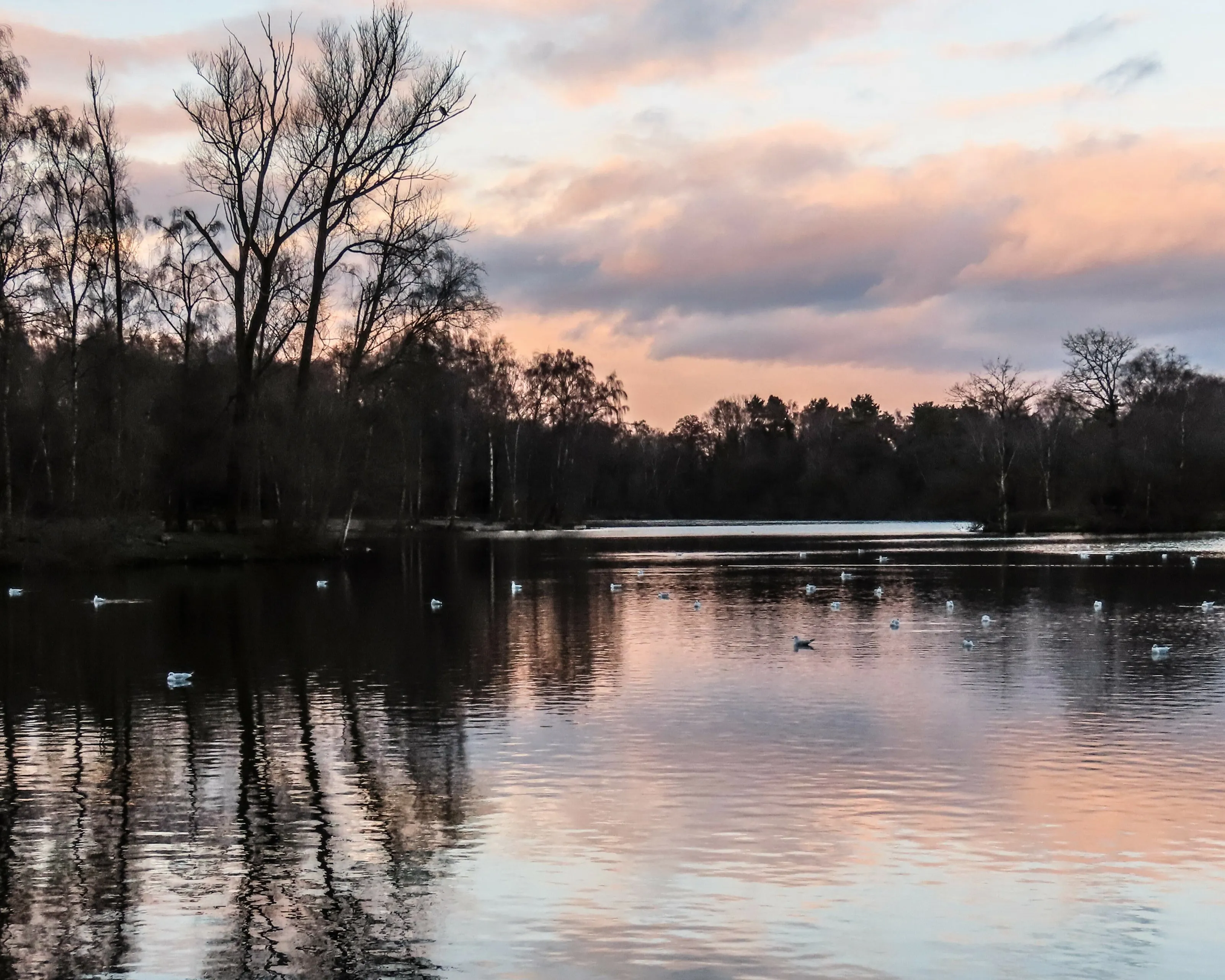 Shakerley Mere