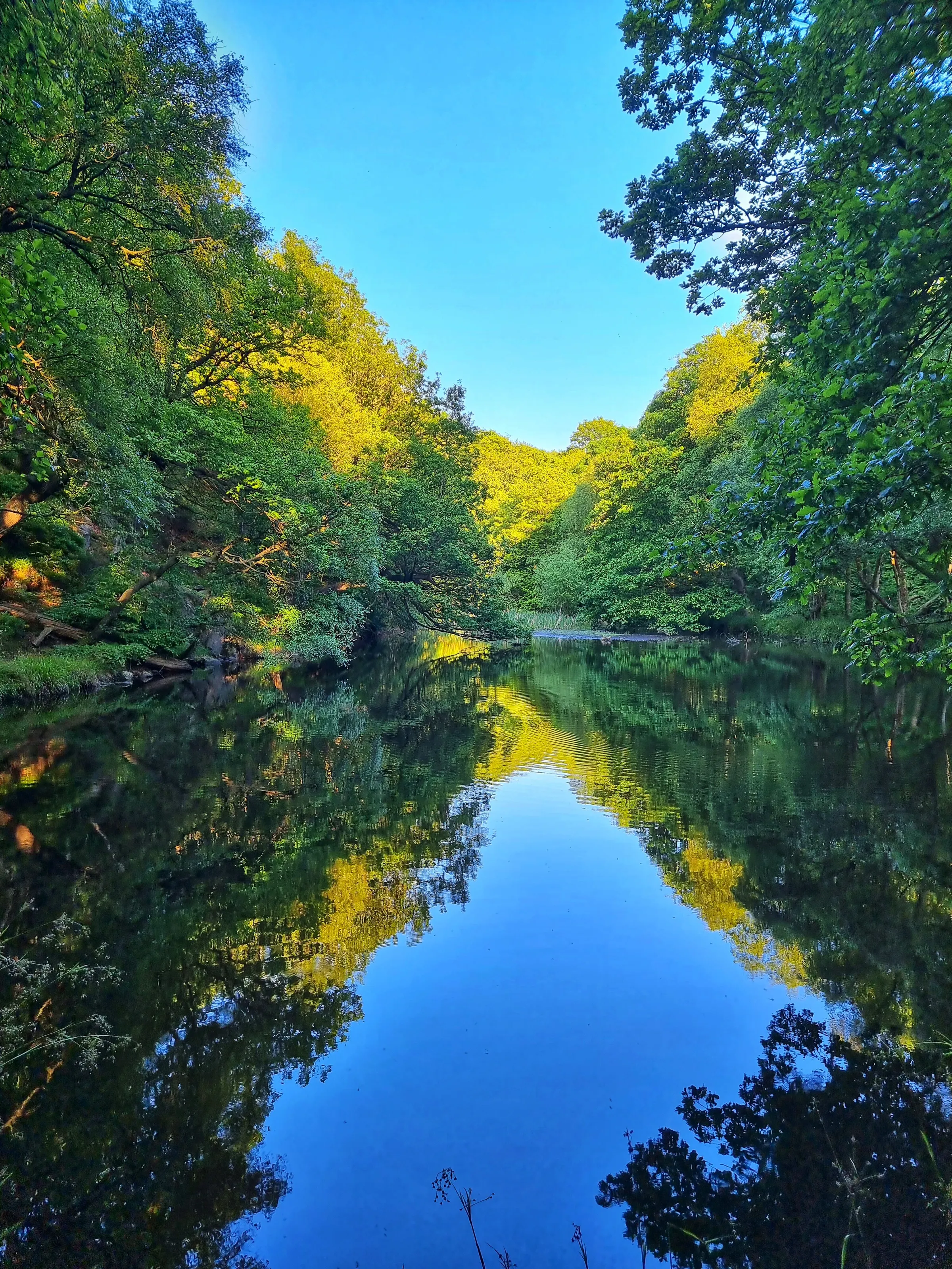 Rishworth Pond
