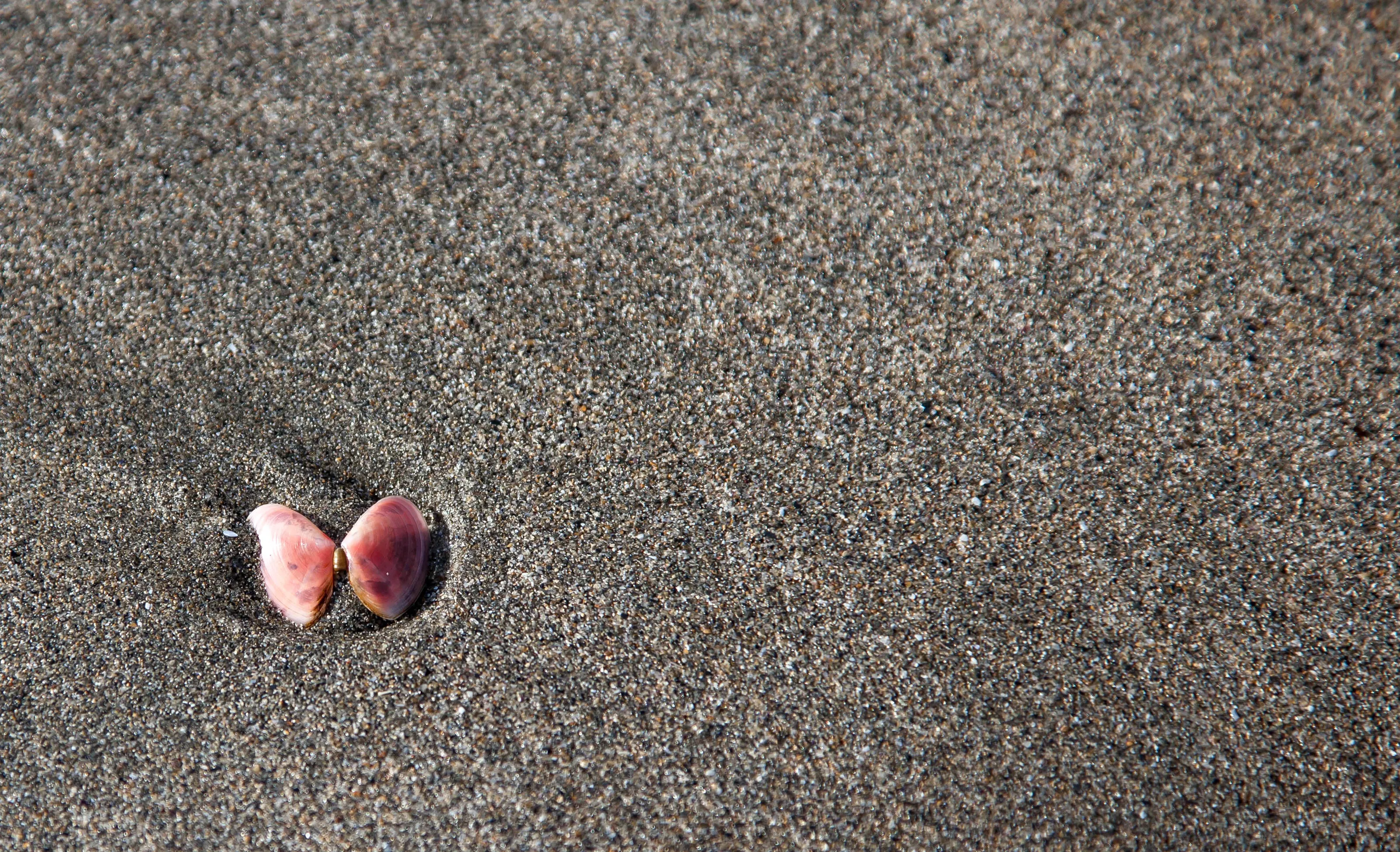 Alone on the beach