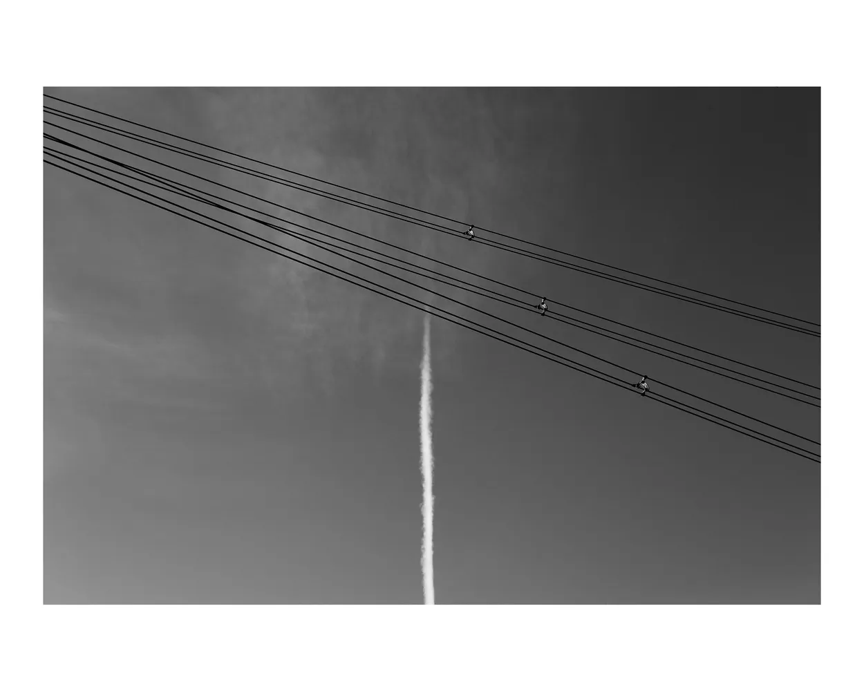 Entry 16020029