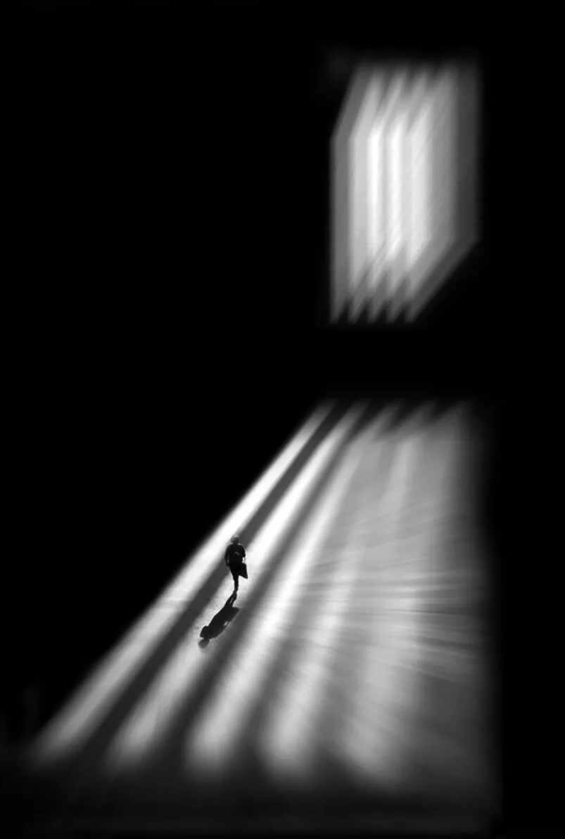 Entry 16025141