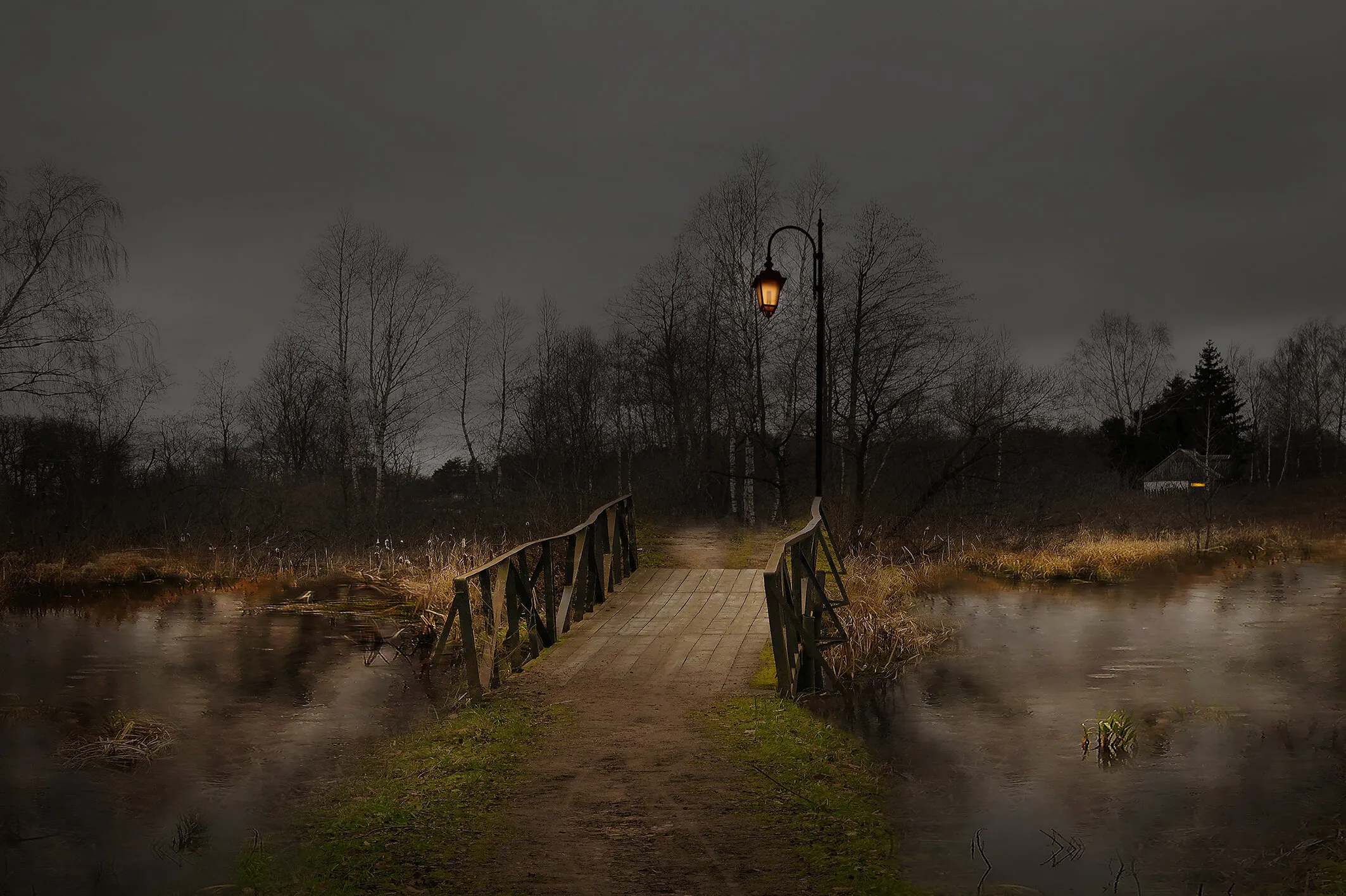 Night photo contests