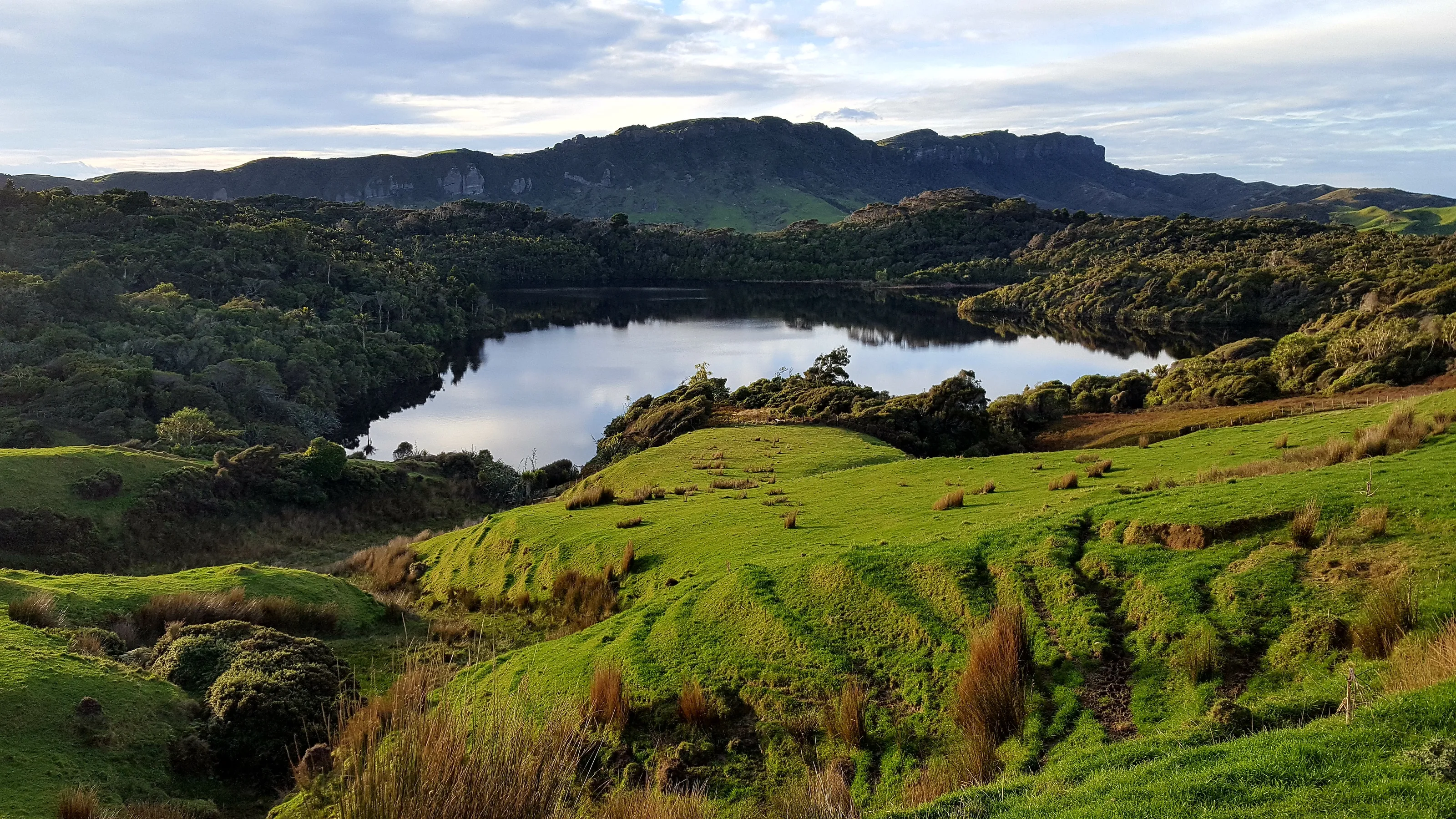 Pure New Zealand