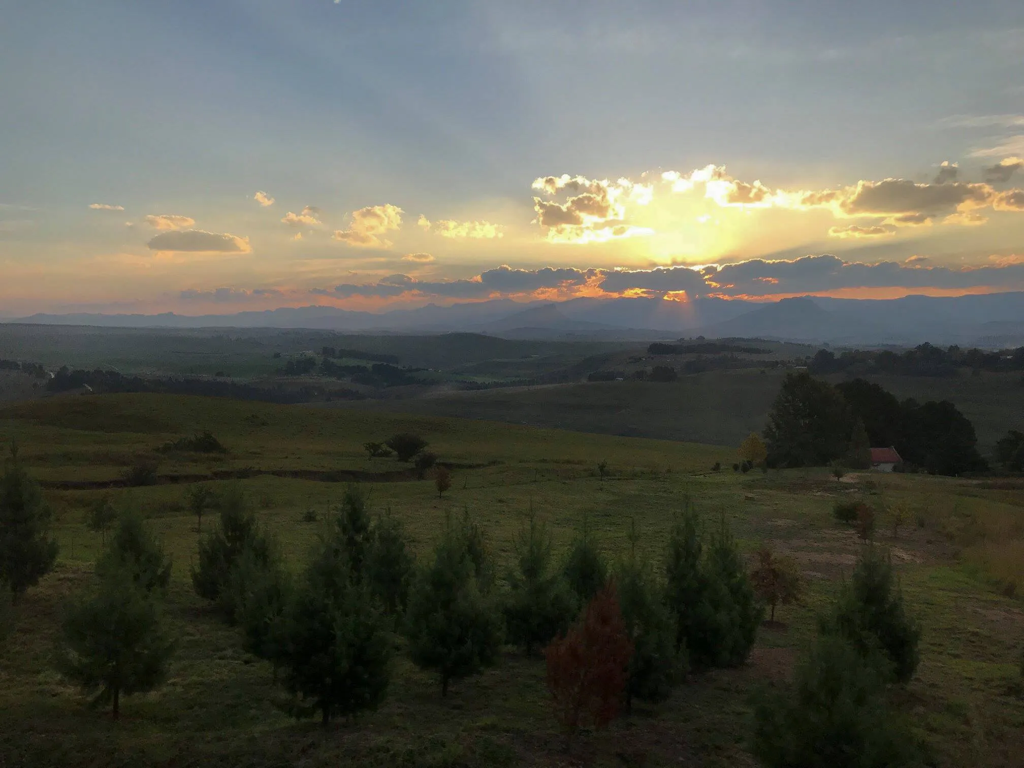 Early morning in South-Africa