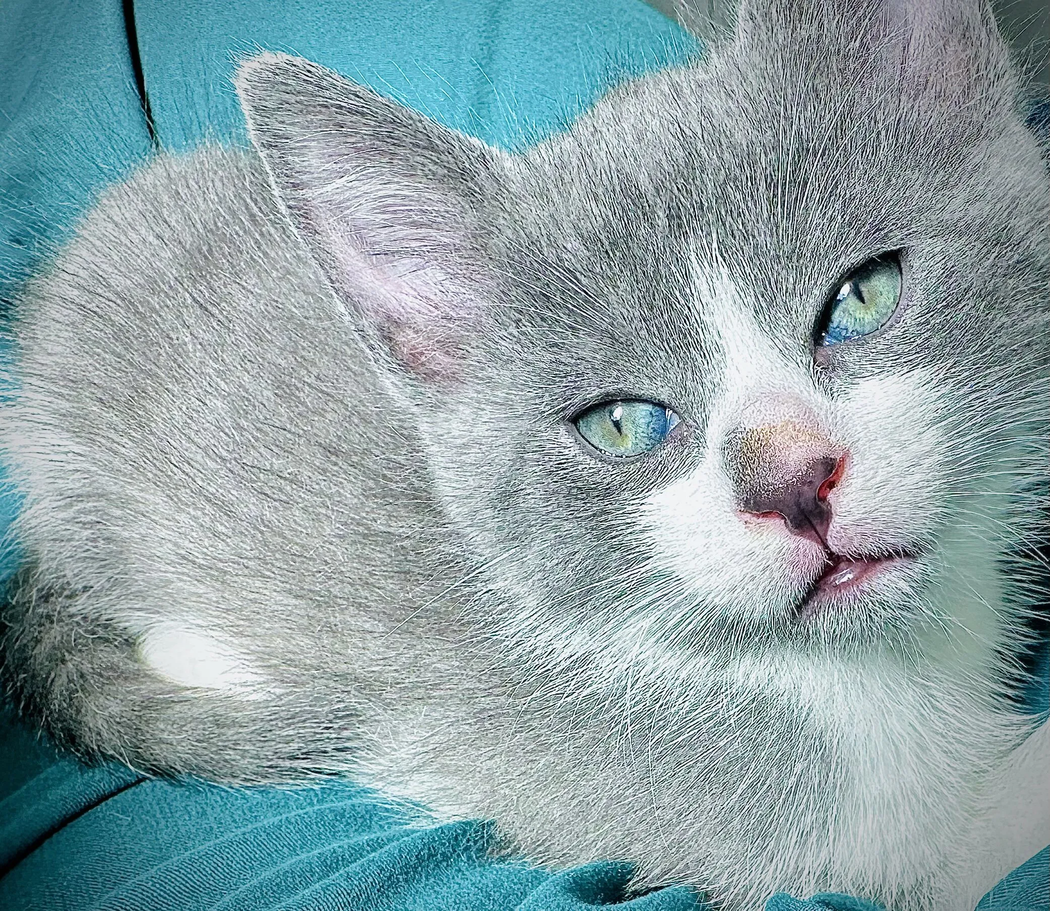 Earthy eyes