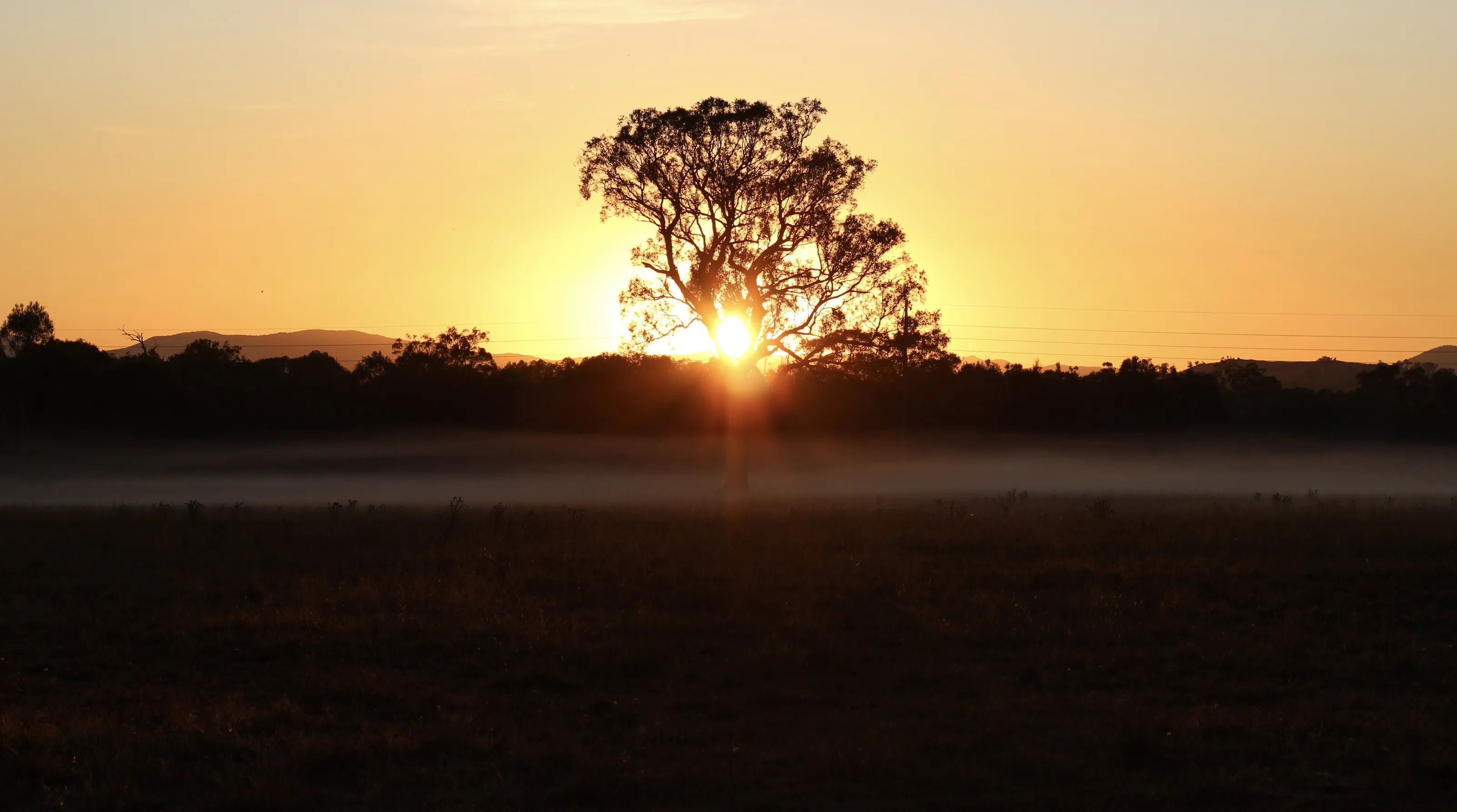 Morning sunrise.