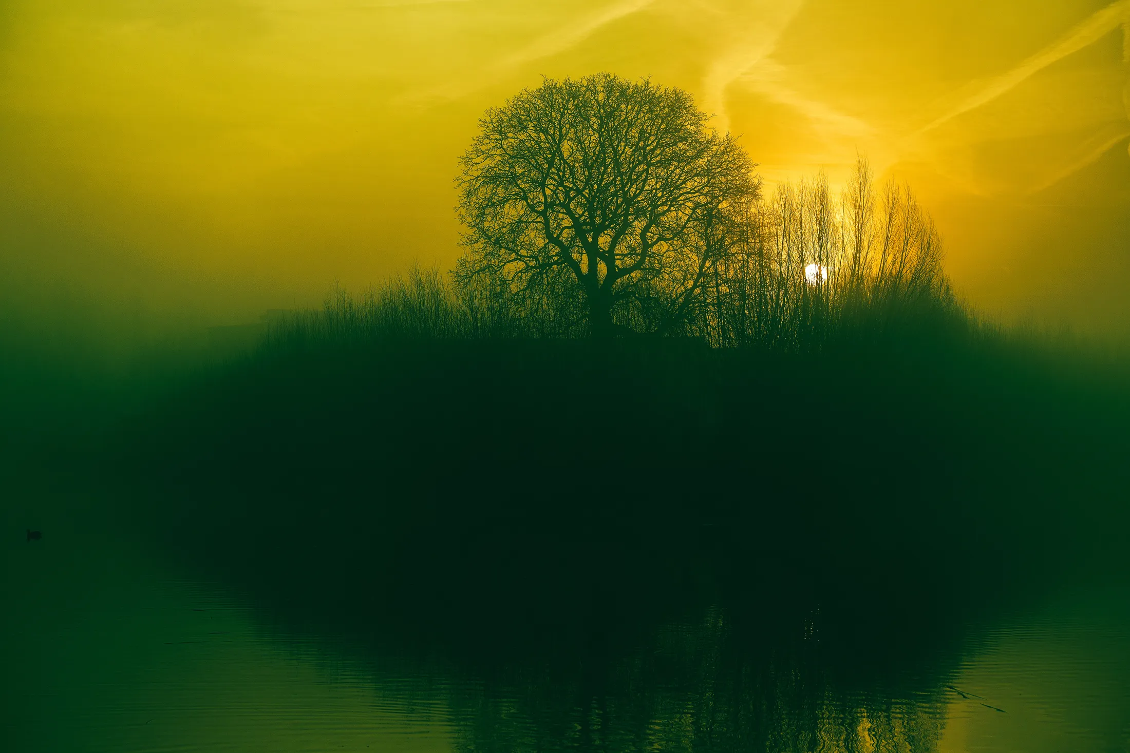 Moody sunrise
