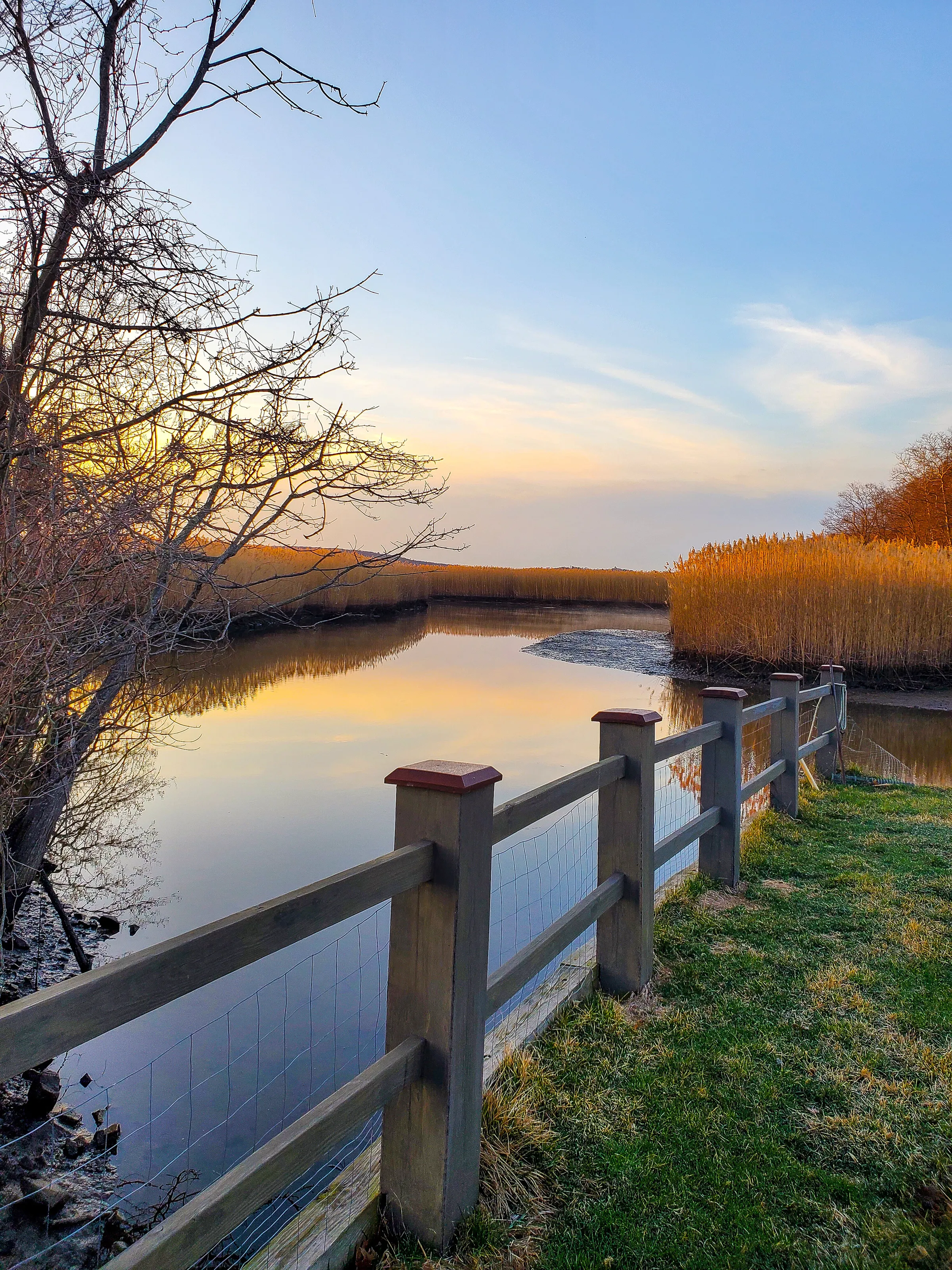 Piermont marsh. Piermont, NY