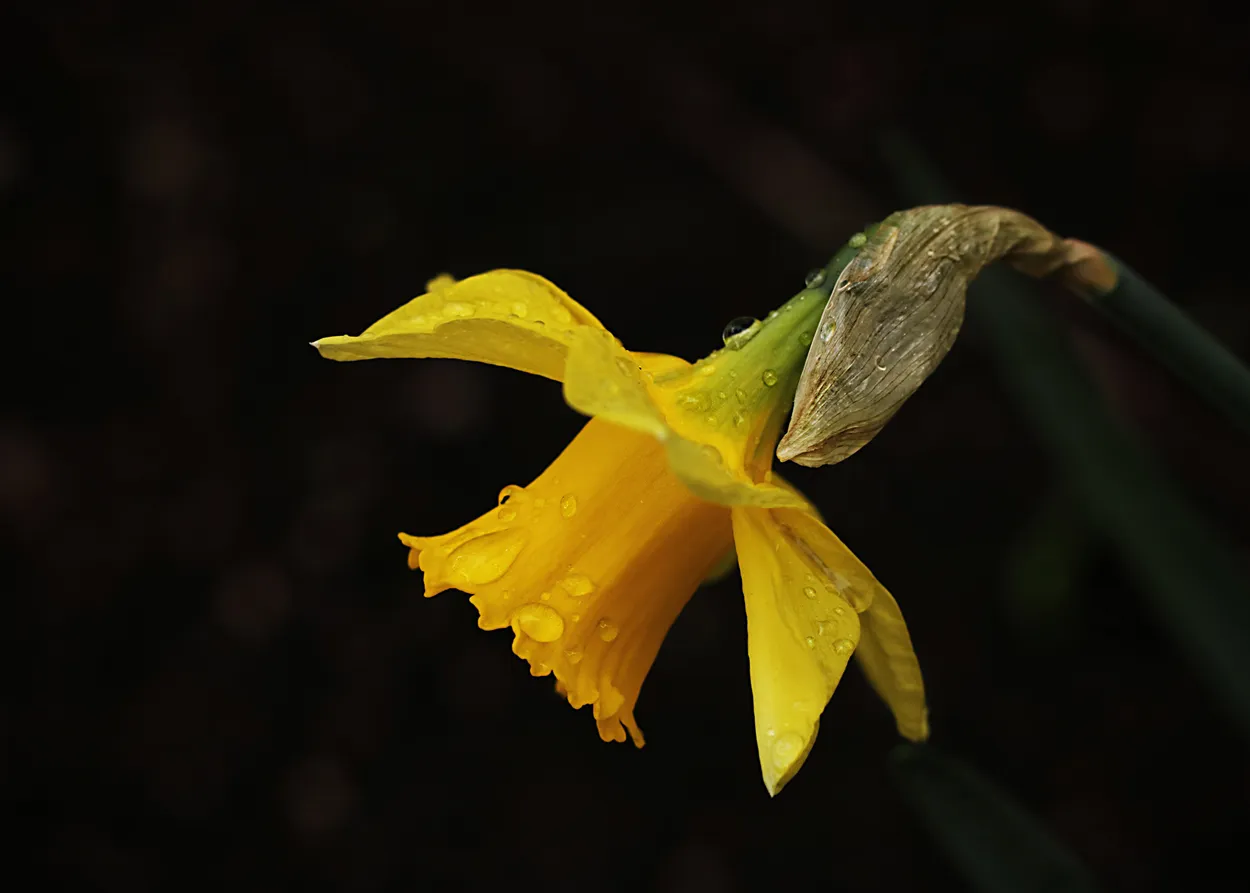 Entry 20070453