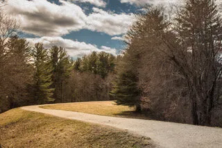 Winding Road