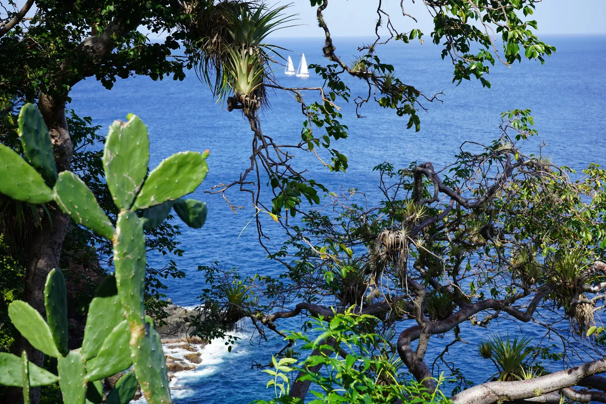 Sailing Away