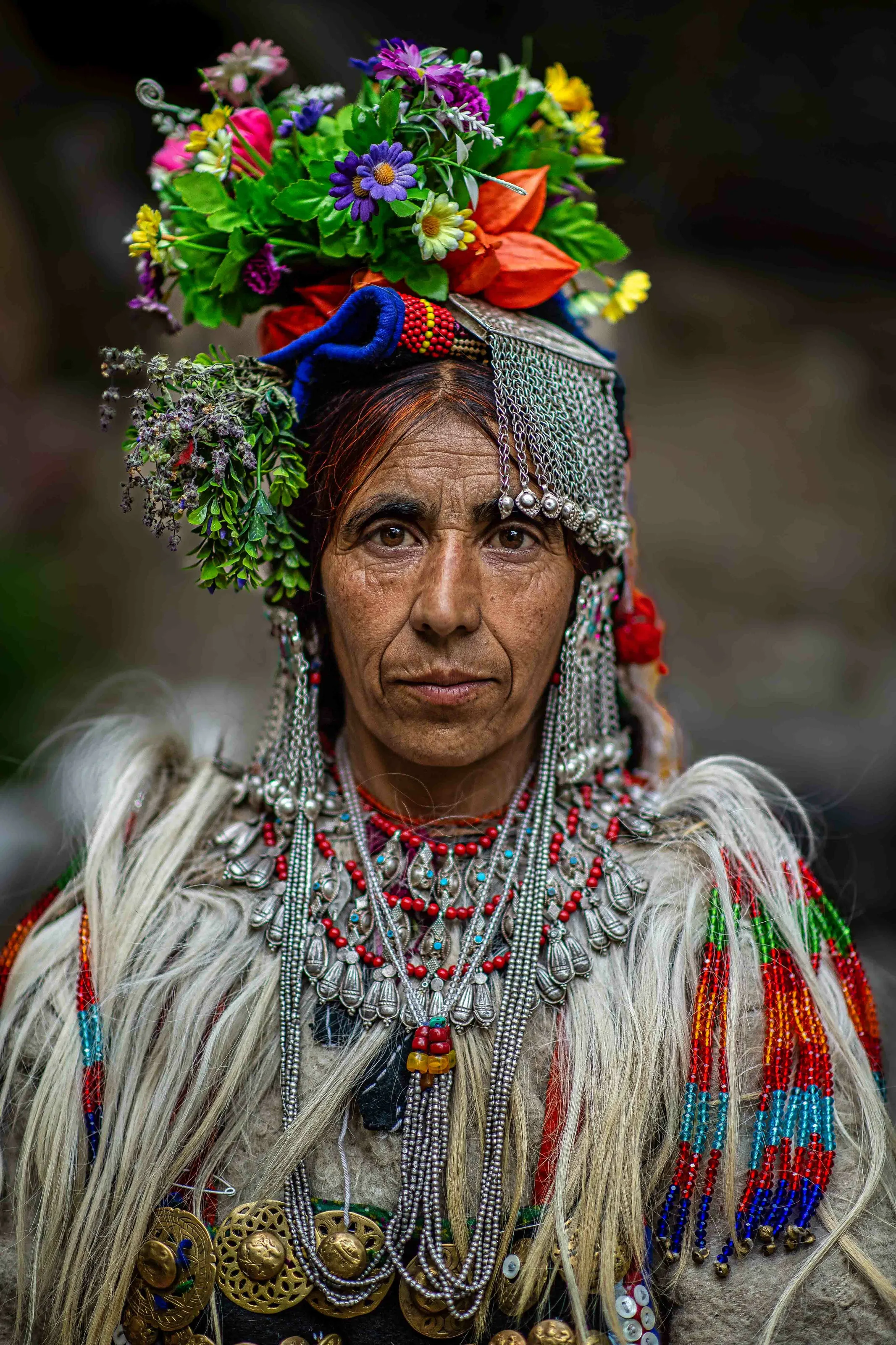 The Aryans