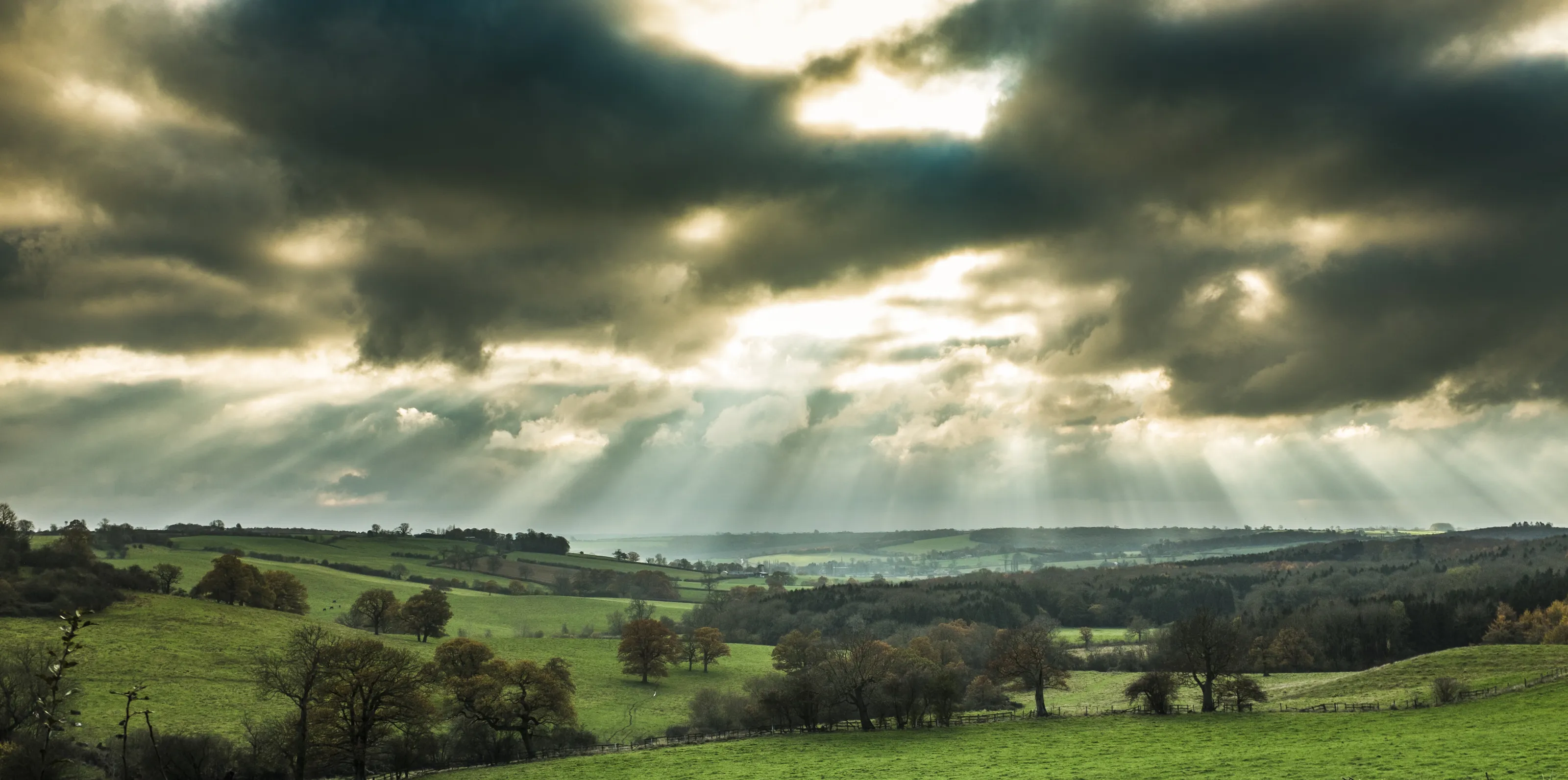 Rays Of Light