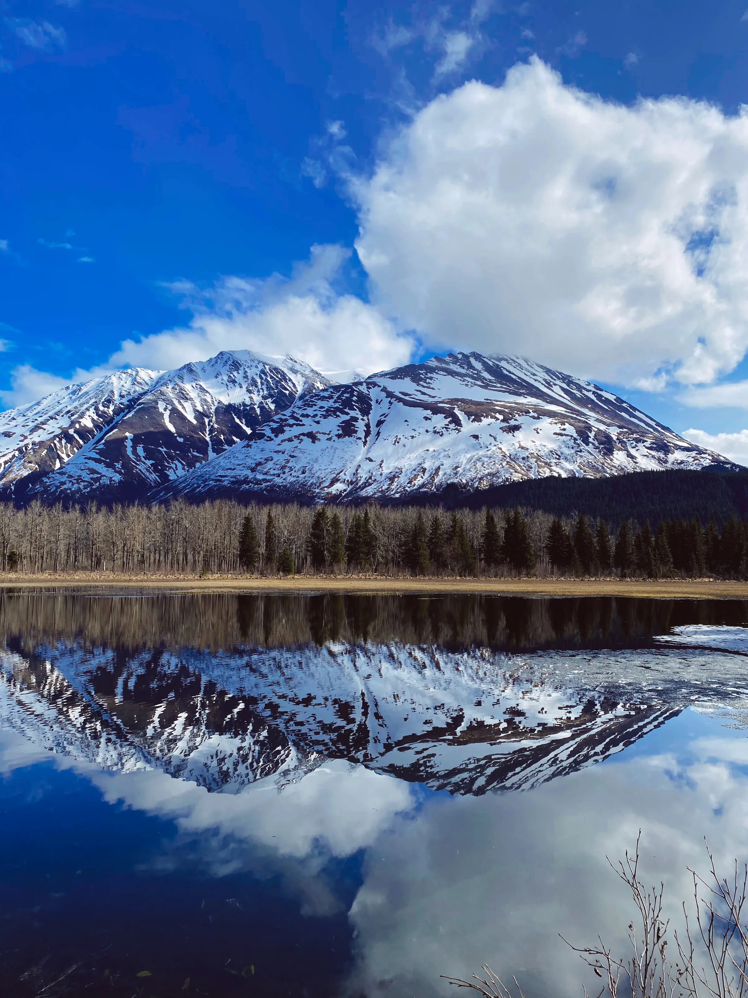 Summertime in Seward, Alaska