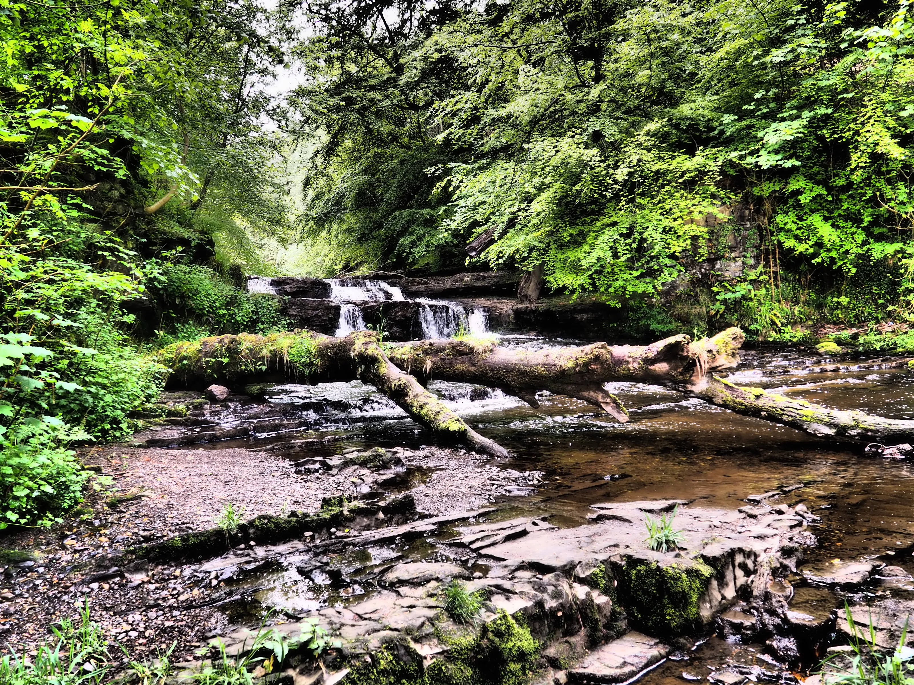 Dalry Walk